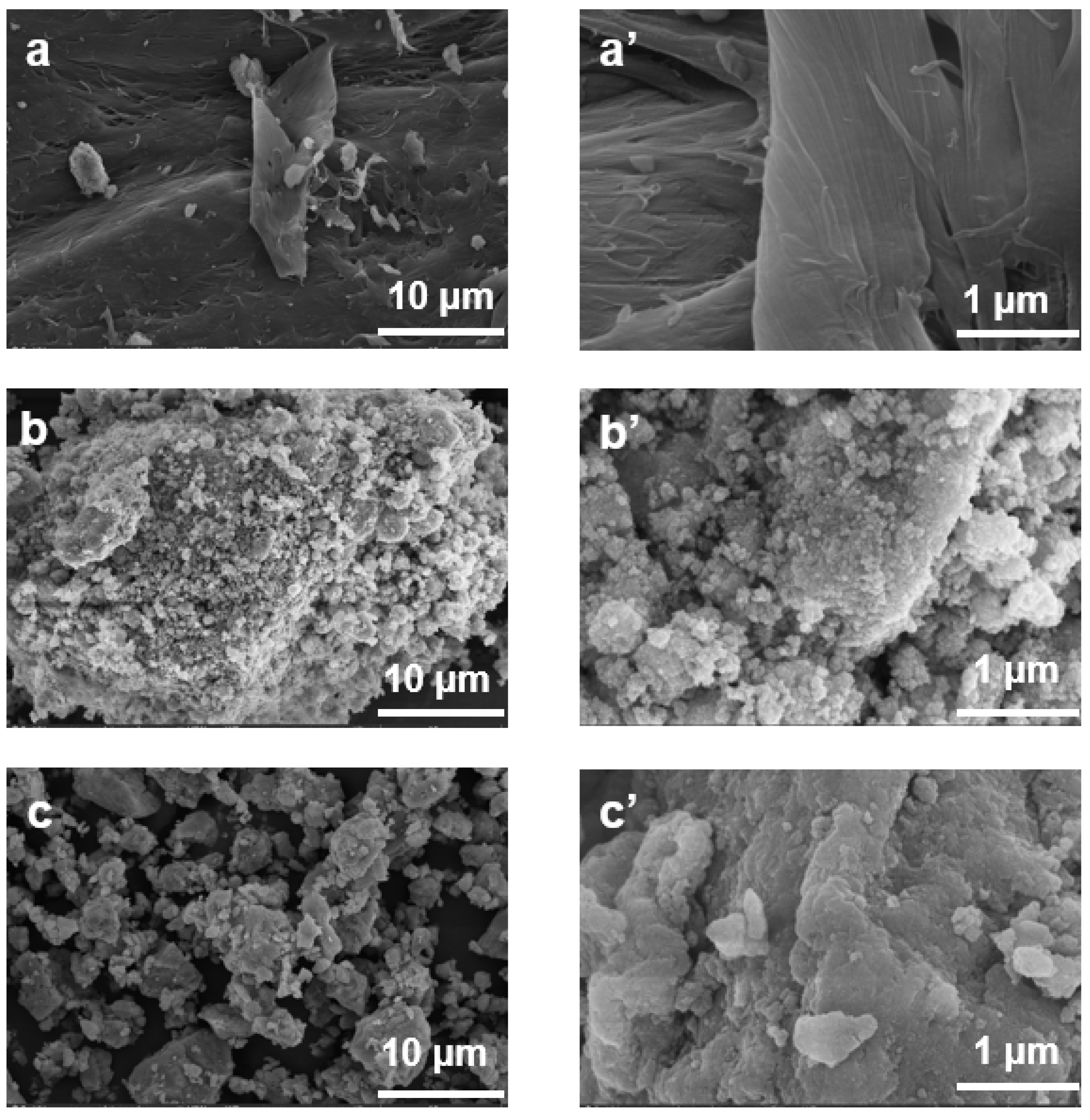 Materials 14 07701 g002