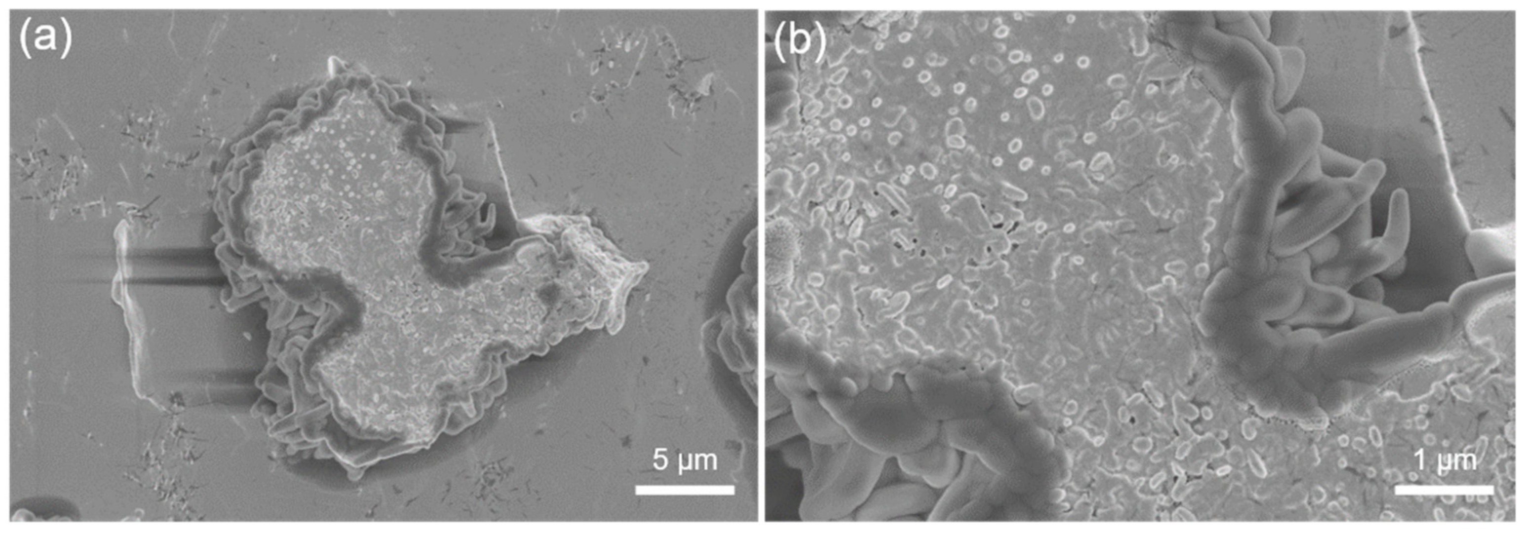 Materials 14 07707 g005 Materials 14 07707 g005