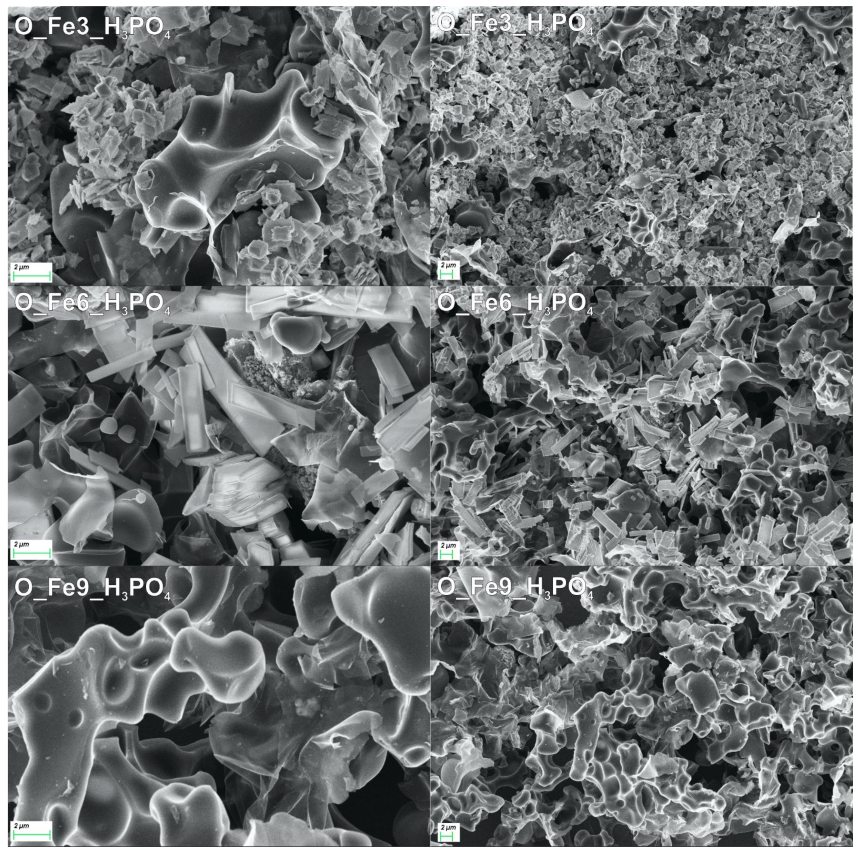 Materials 14 07729 g005 550