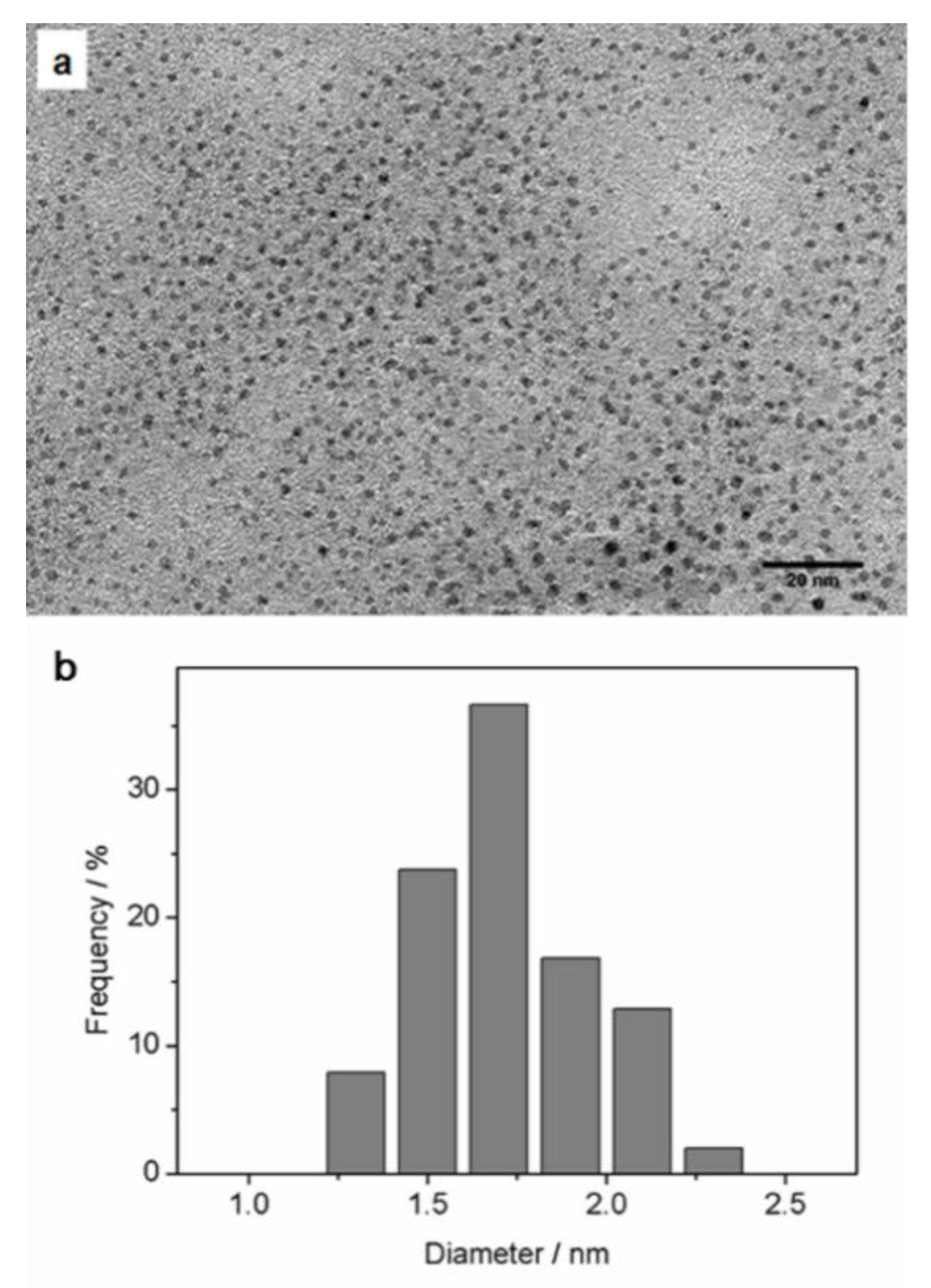 Materials 14 07744 g003 550