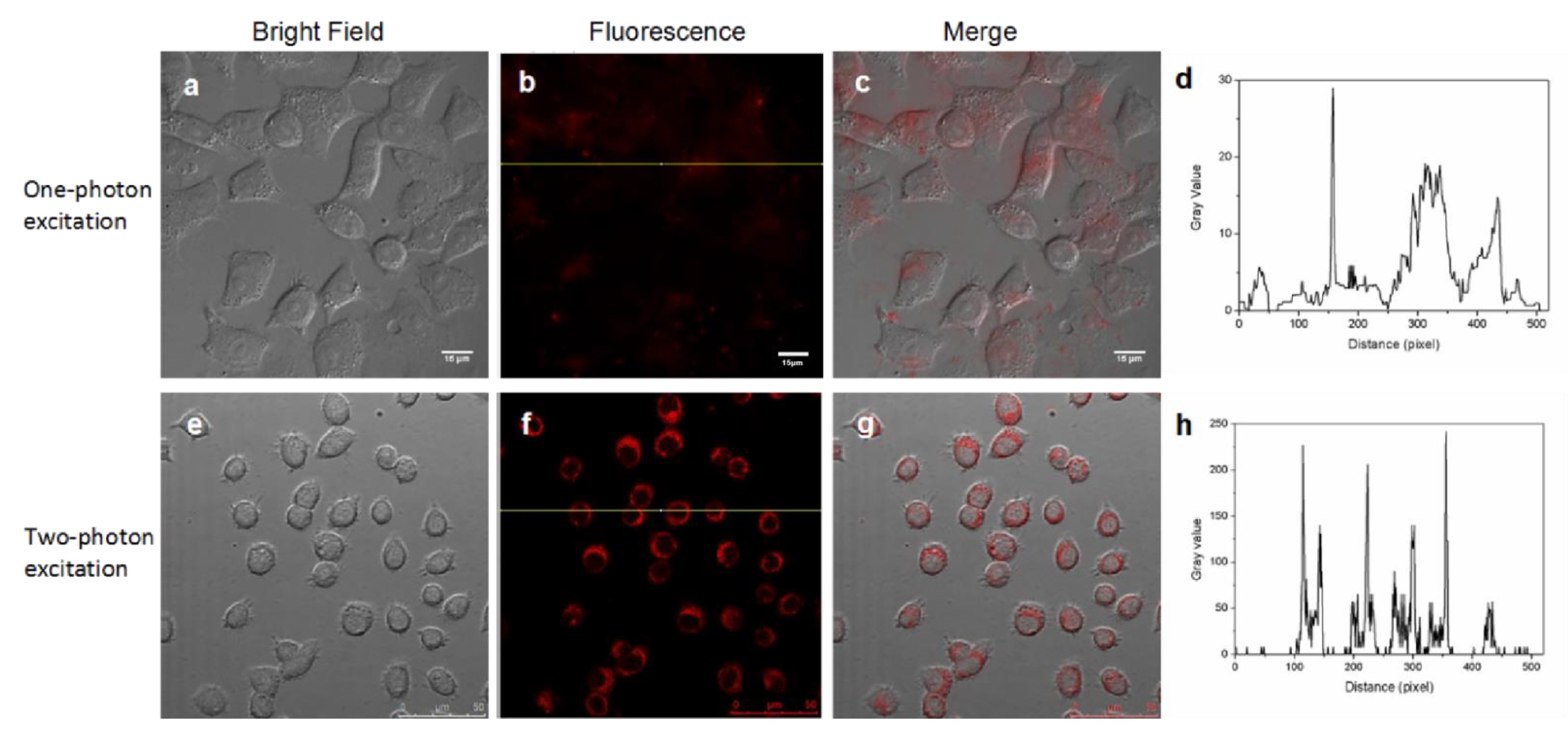 Materials 14 07744 g006 550