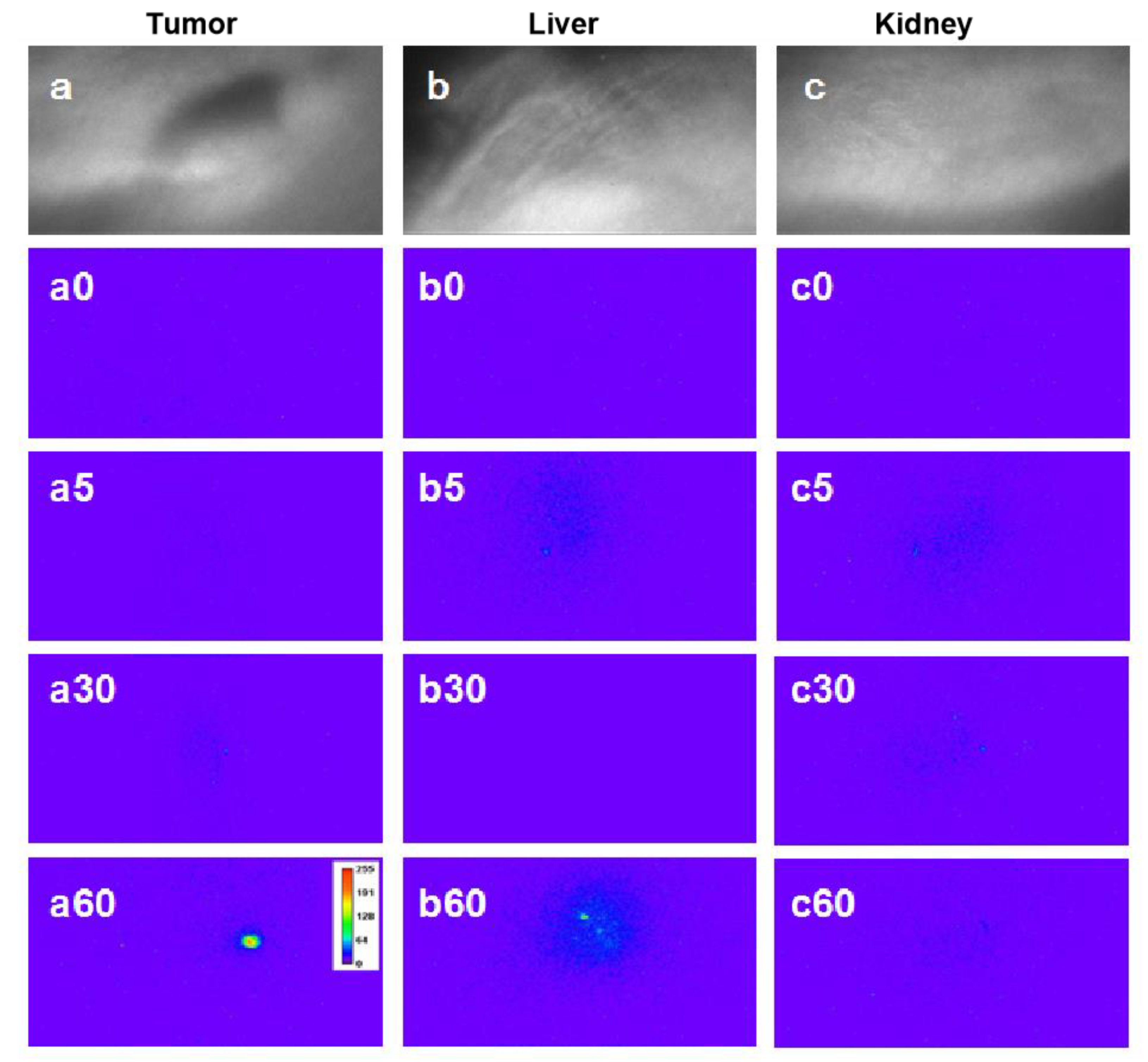 Materials 14 07744 g007 550