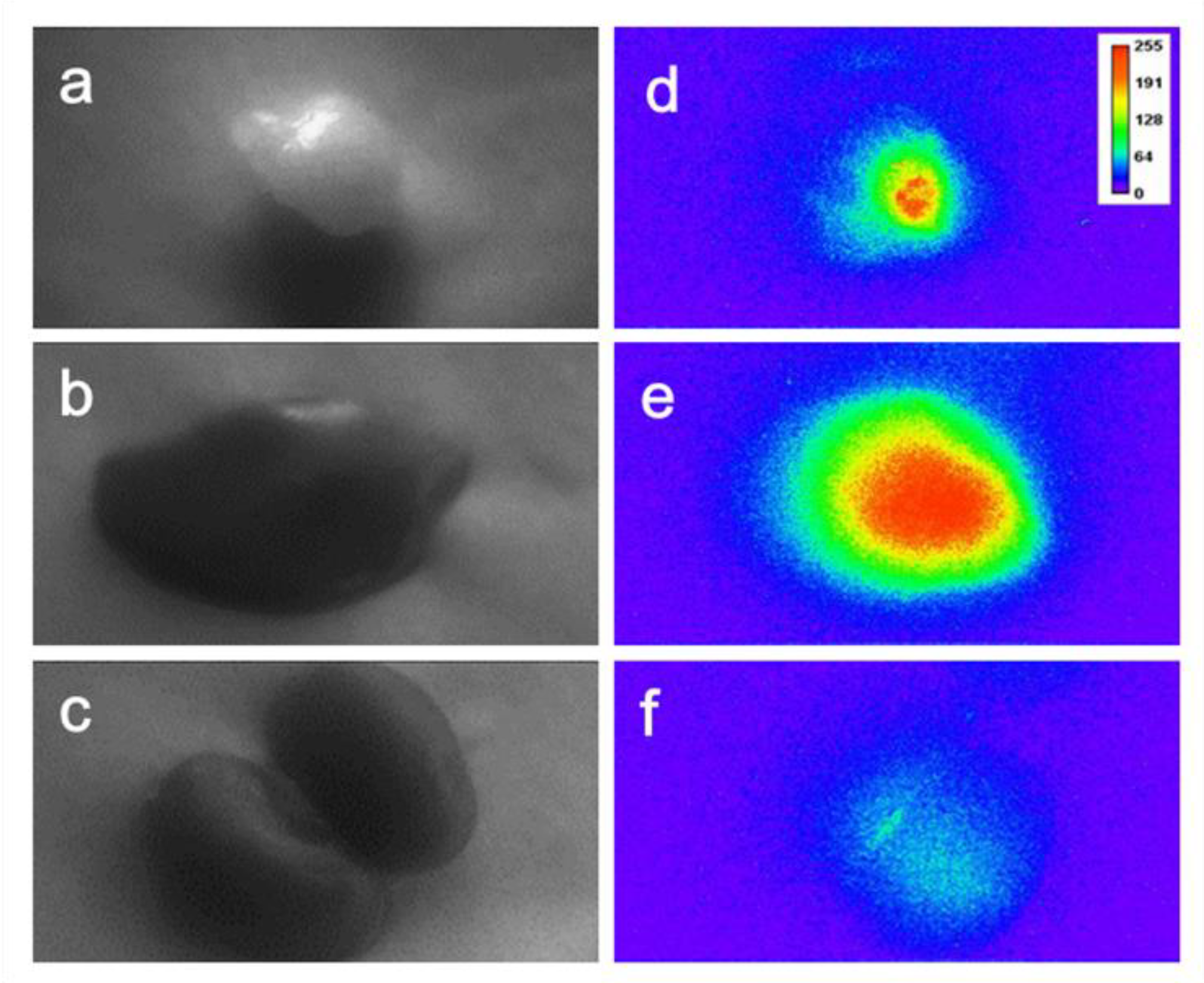 Materials 14 07744 g008 550