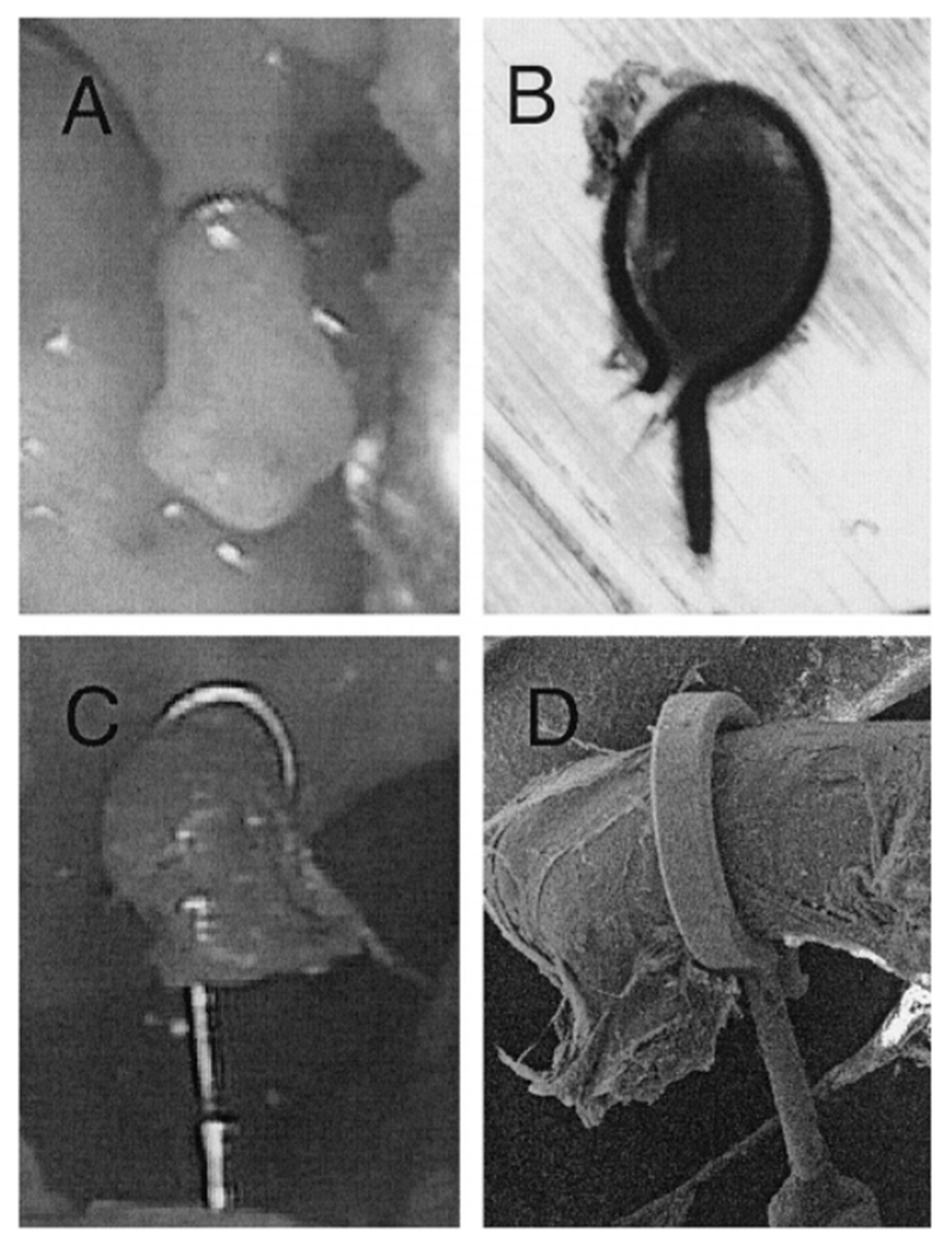 Materials 14 07747 g002