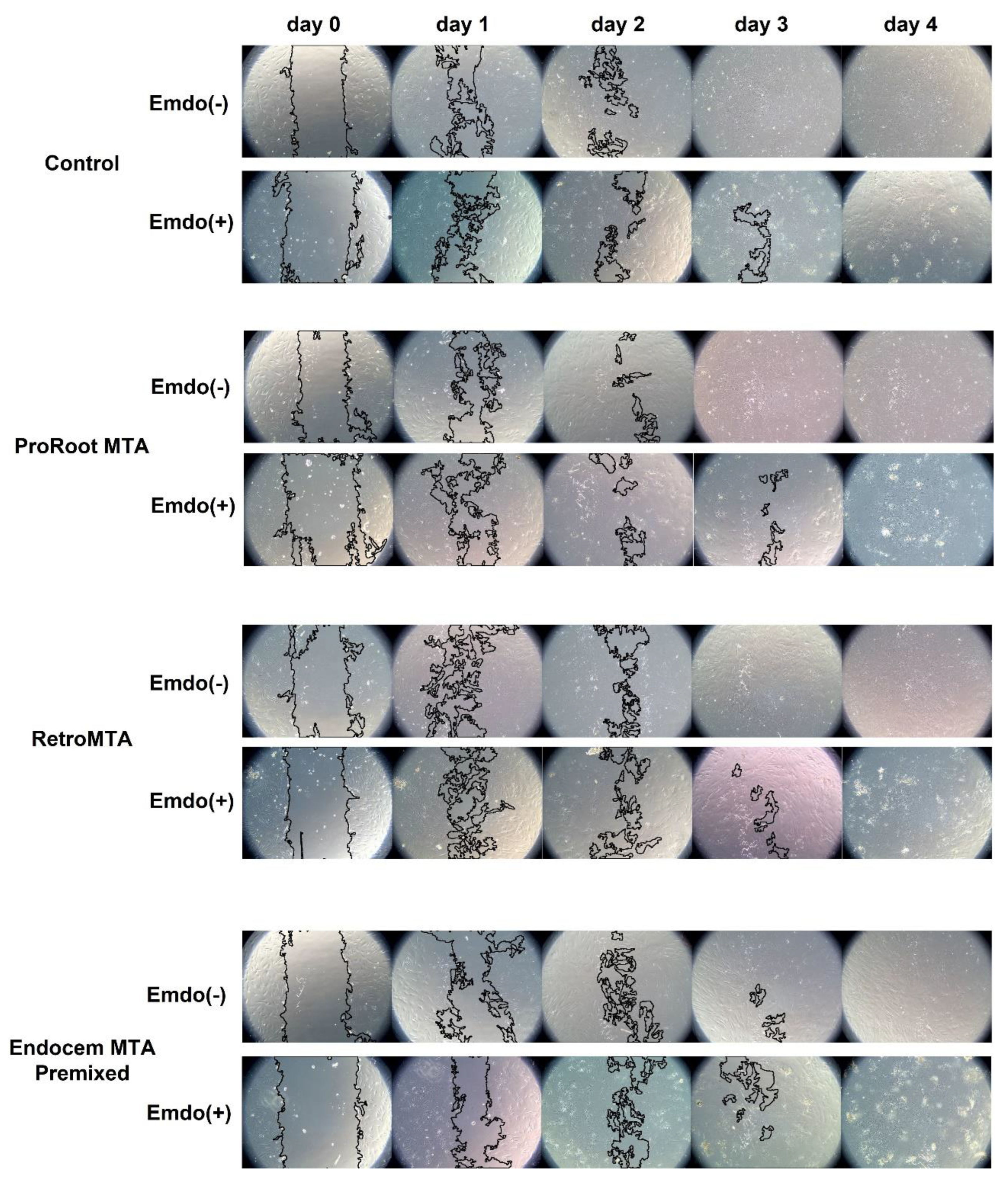 Materials 14 07750 g003