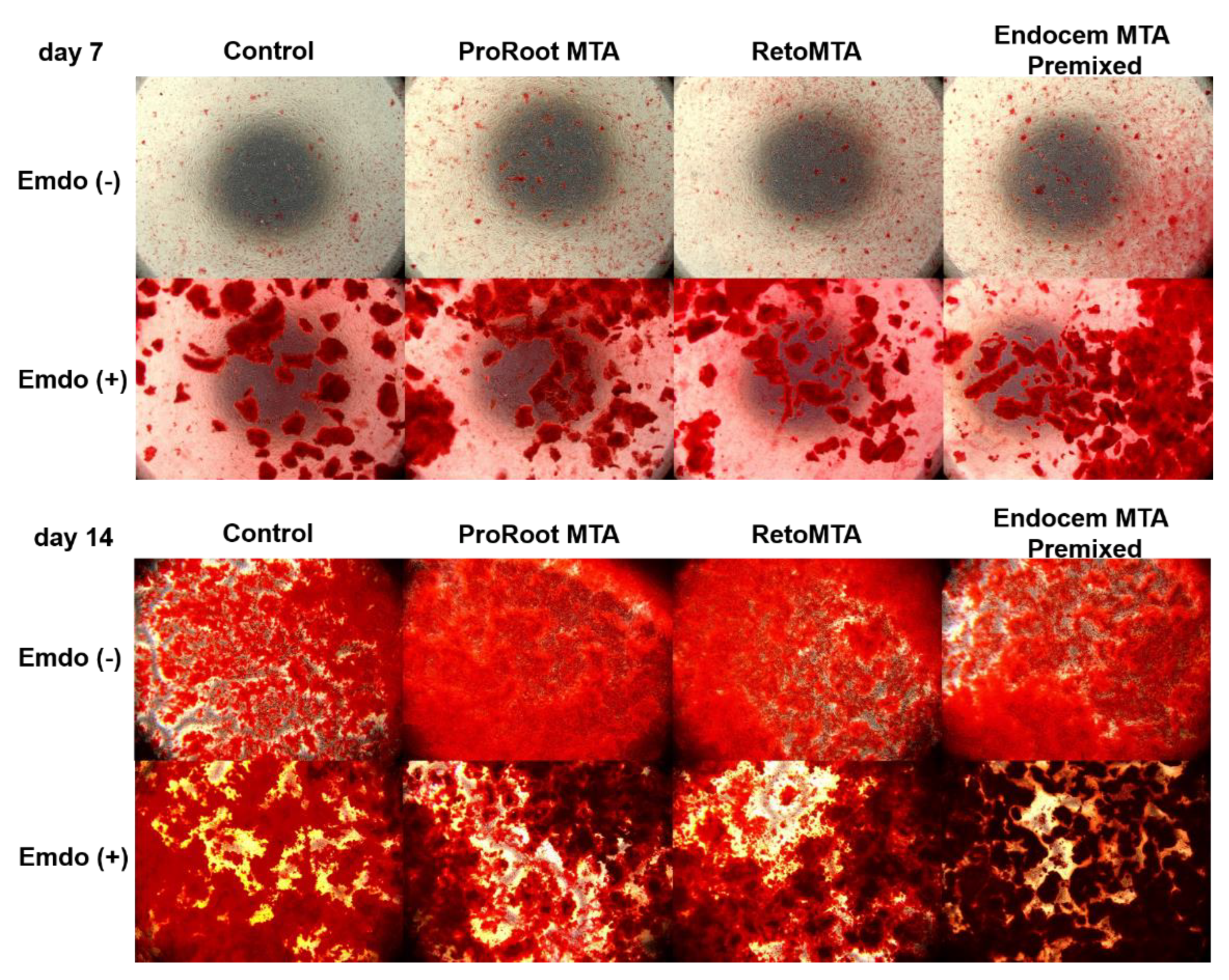 Materials 14 07750 g006