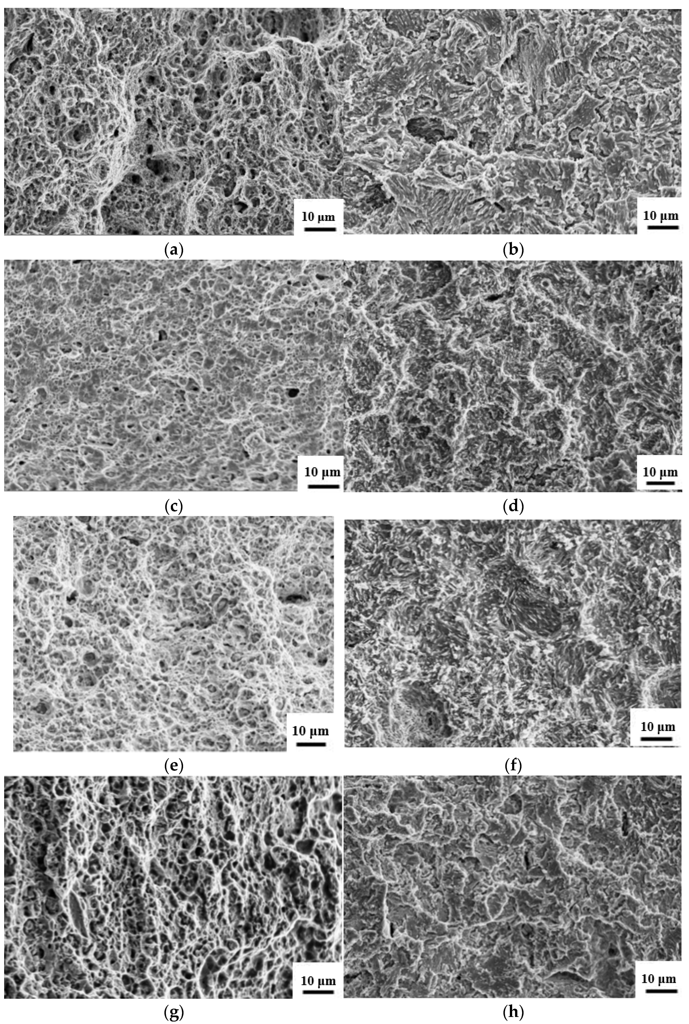 Materials 14 07752 g005