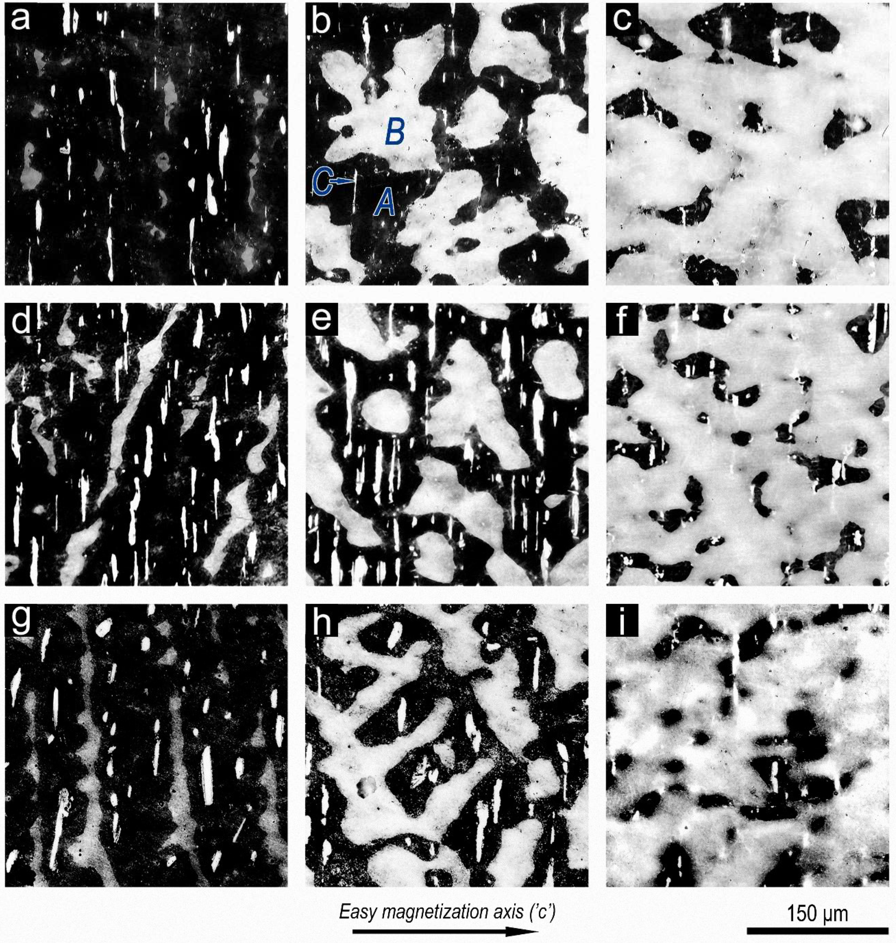 Materials 14 07762 g001 550