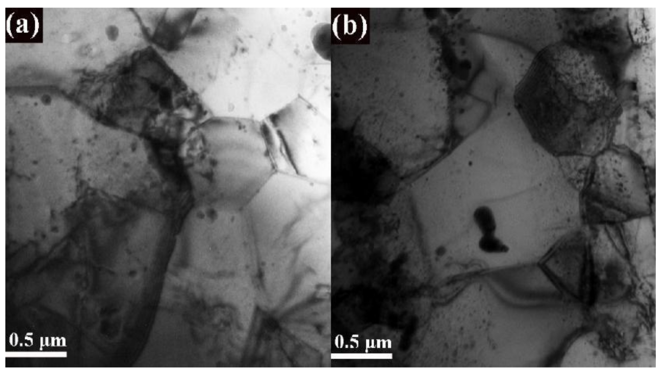 Materials 14 07767 g004 550