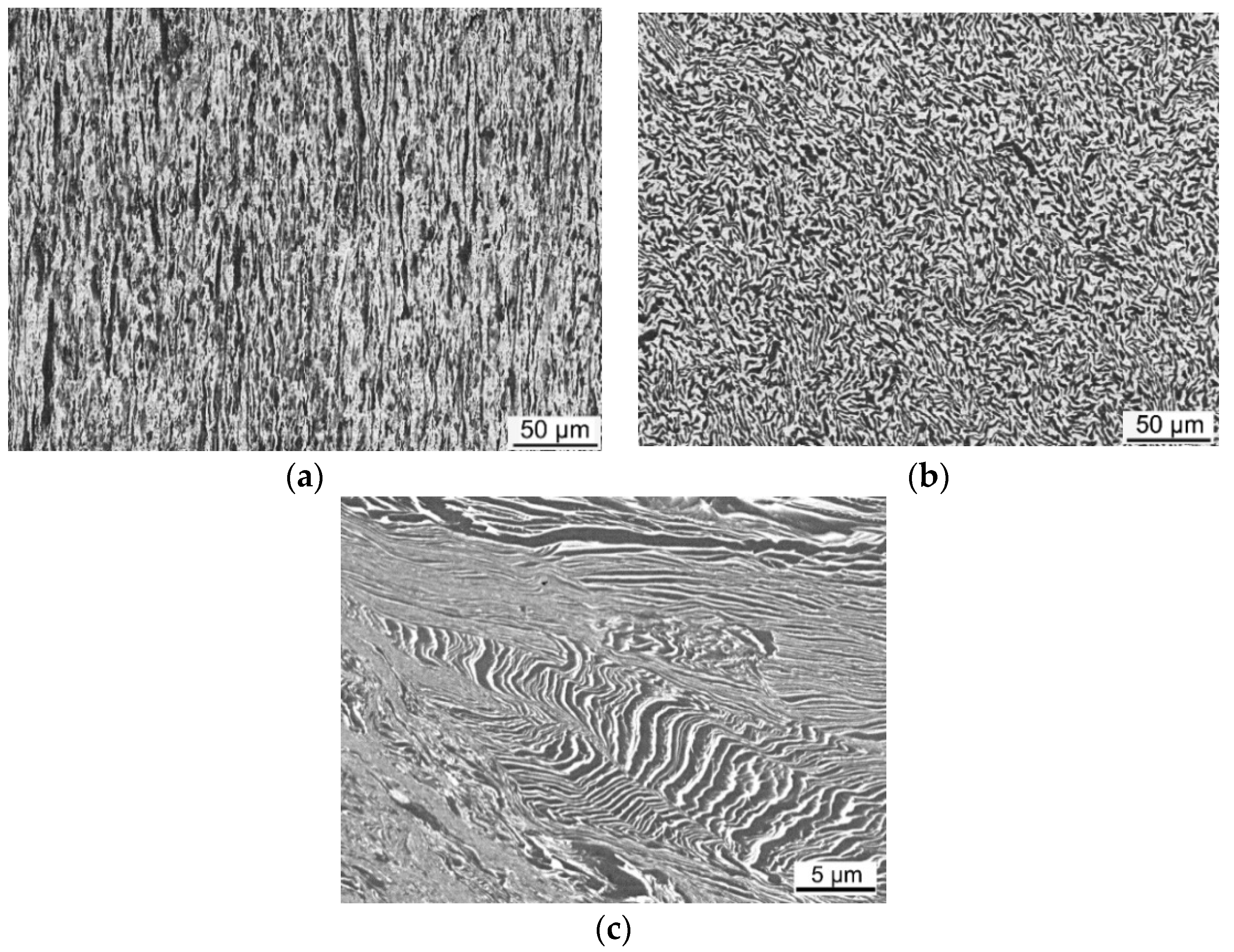 Materials 14 07768 g005