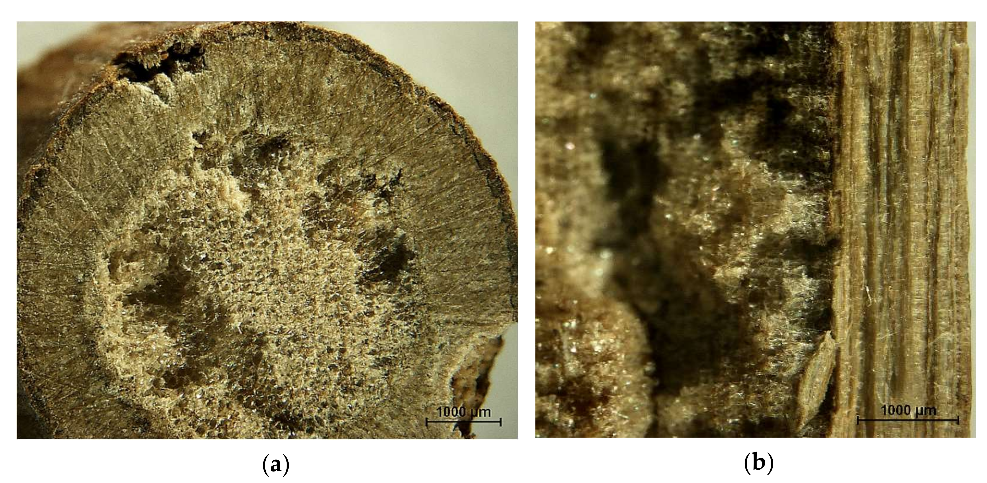 Materials 14 07772 g002