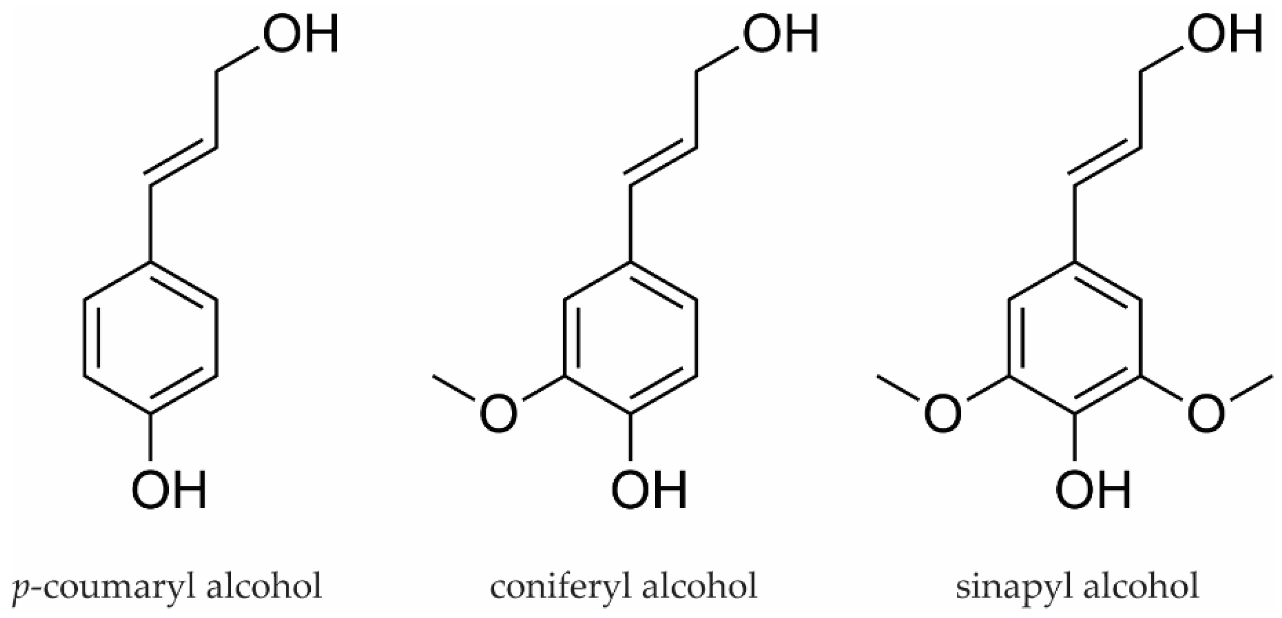 Materials 14 07774 g001 550