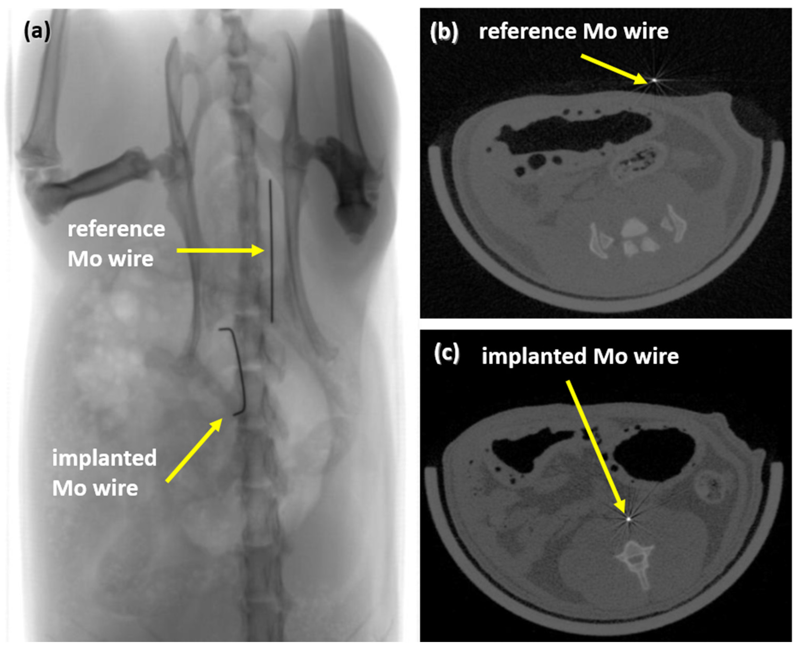 Materials 14 07776 g004