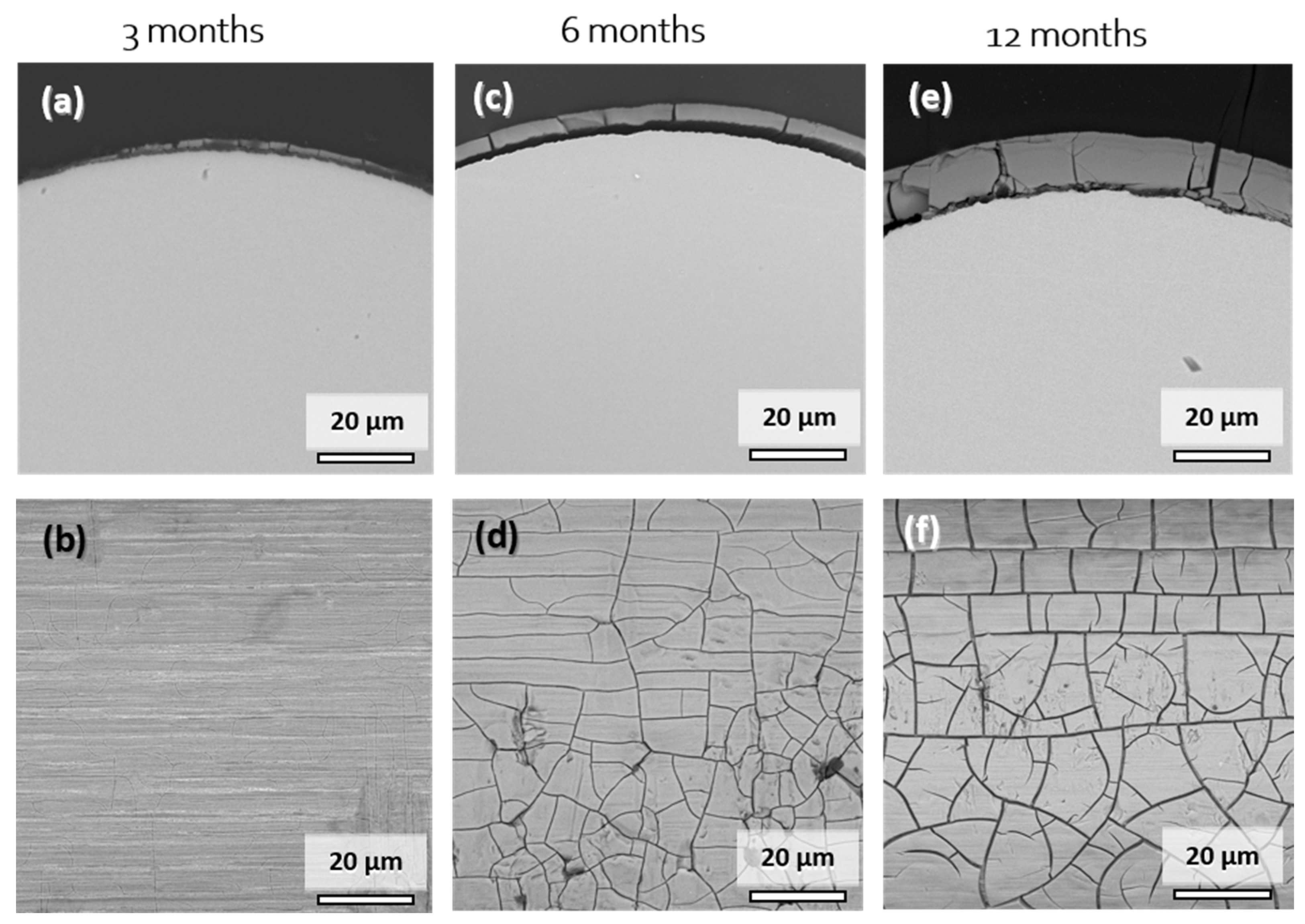 Materials 14 07776 g006
