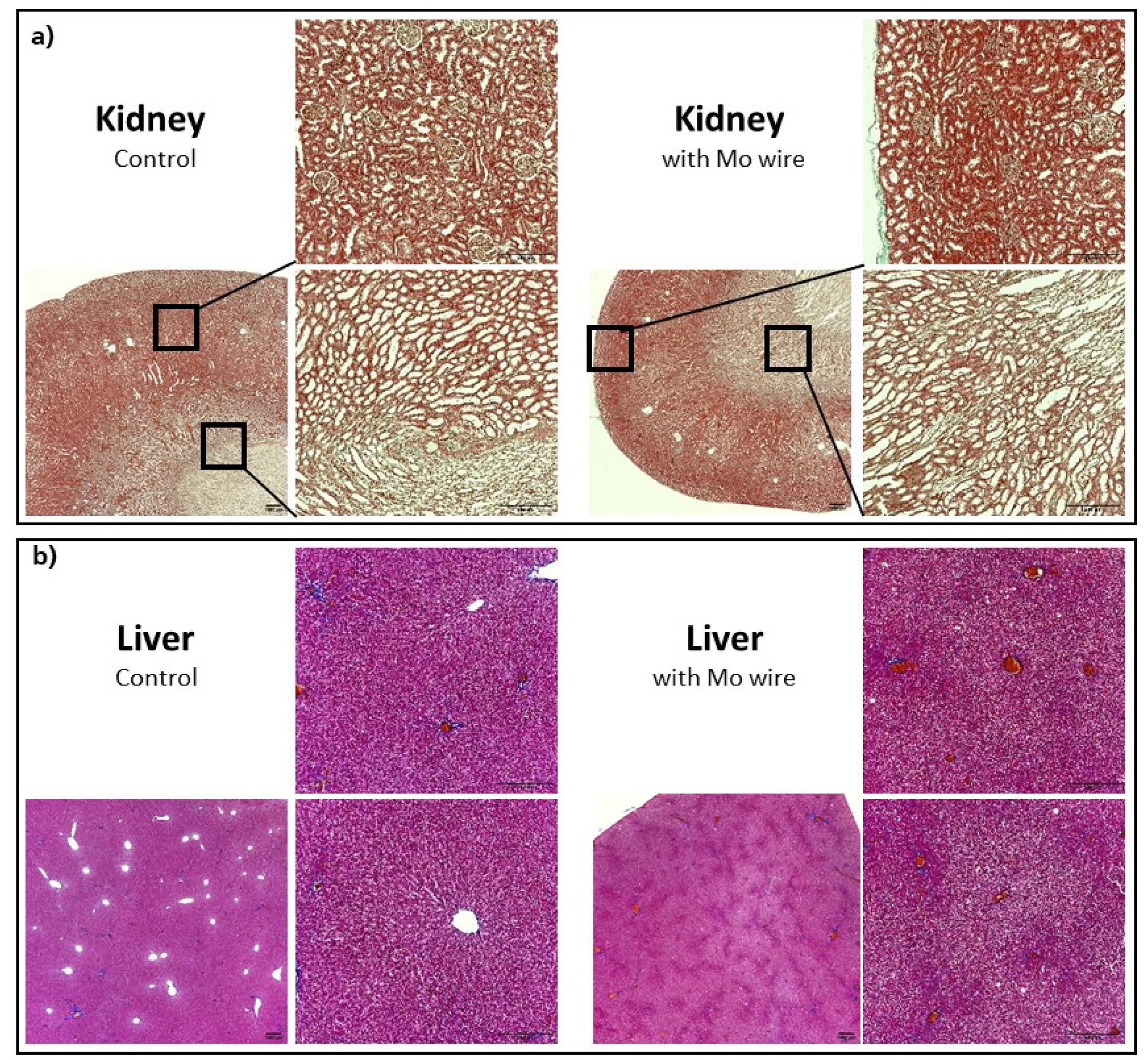 Materials 14 07776 g009
