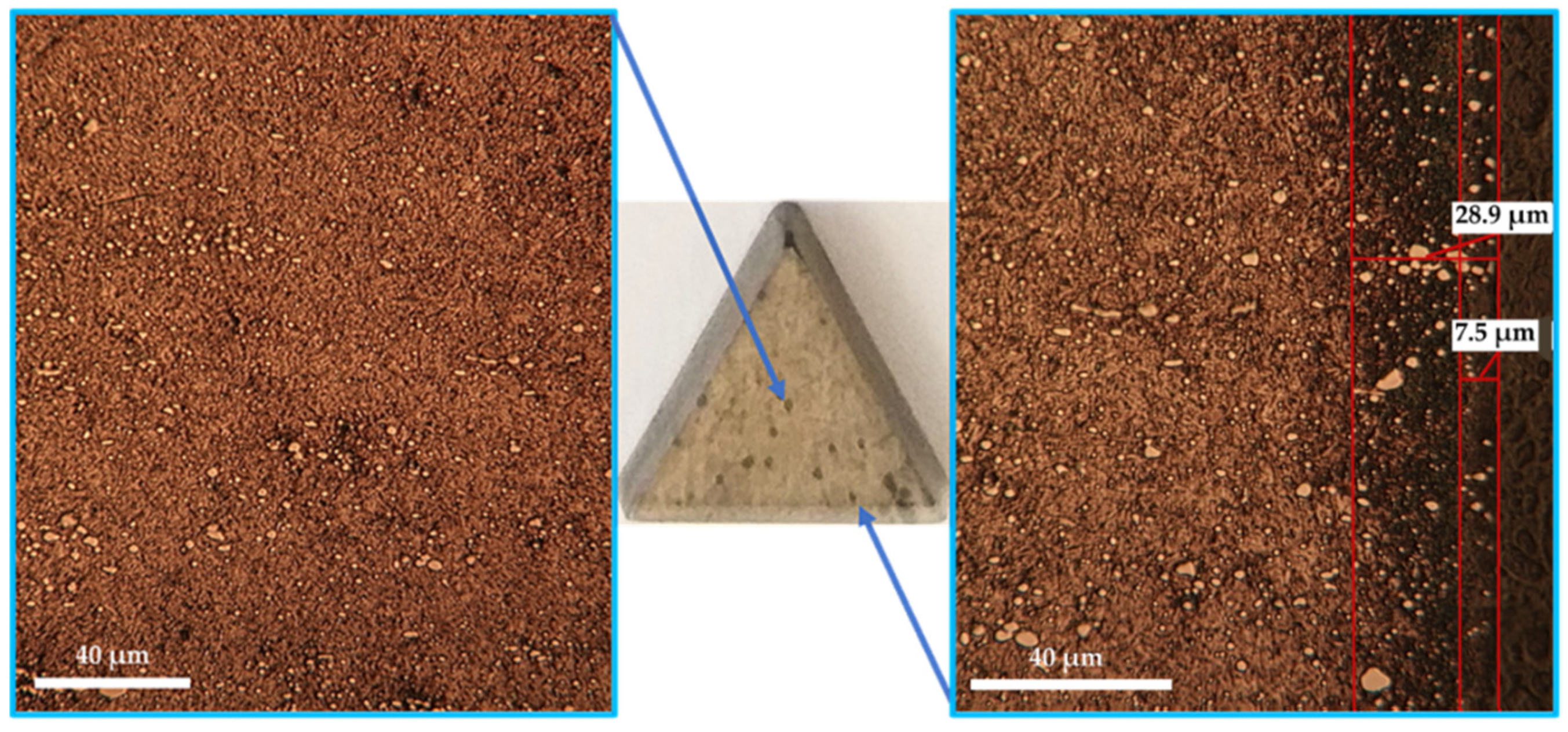 Materials 14 07779 g010