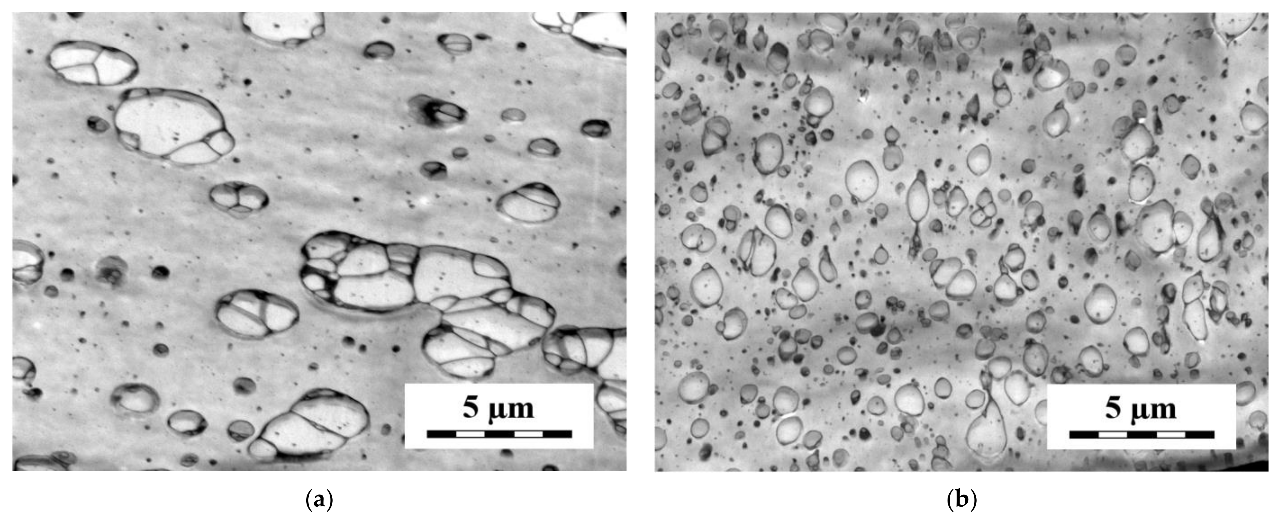 Materials 14 07786 g009 Materials 14 07786 g009