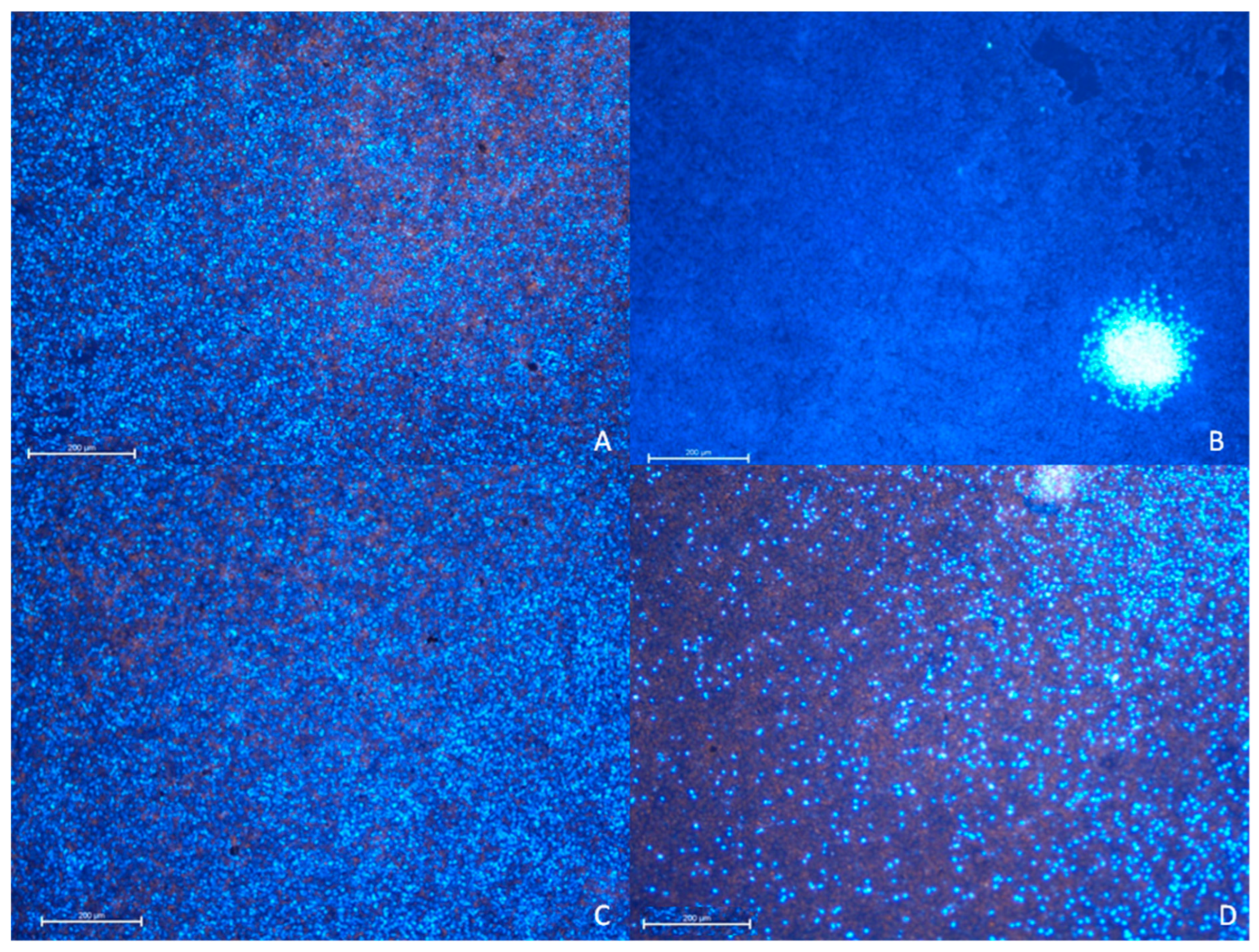 Materials 14 07788 g009
