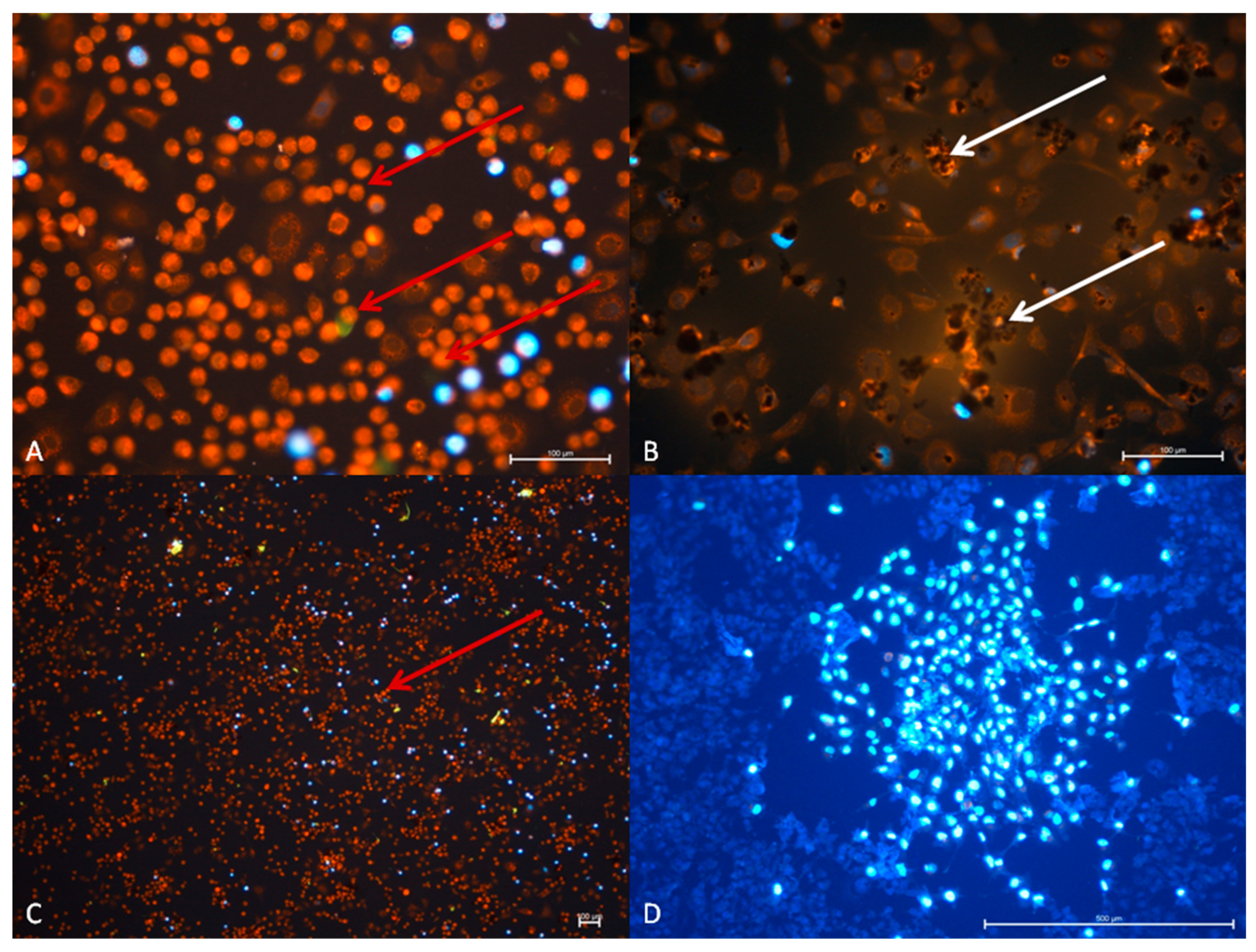 Materials 14 07788 g010