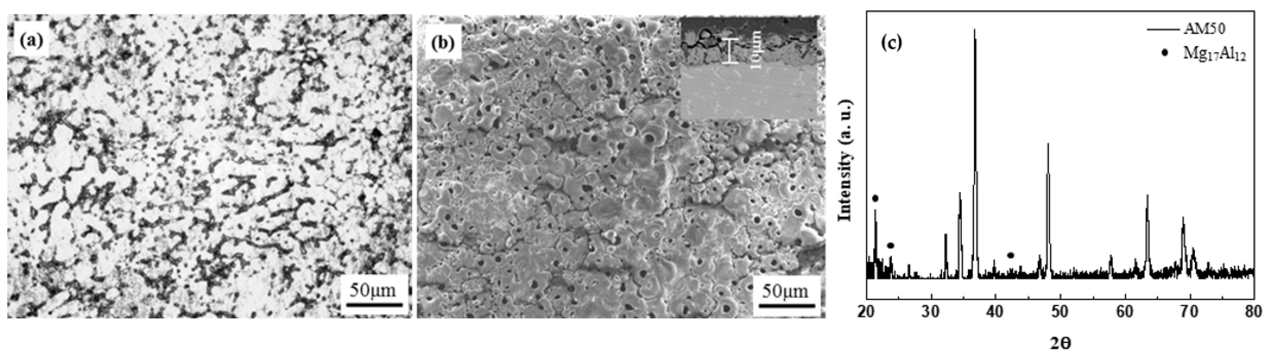 Materials 14 07795 g001