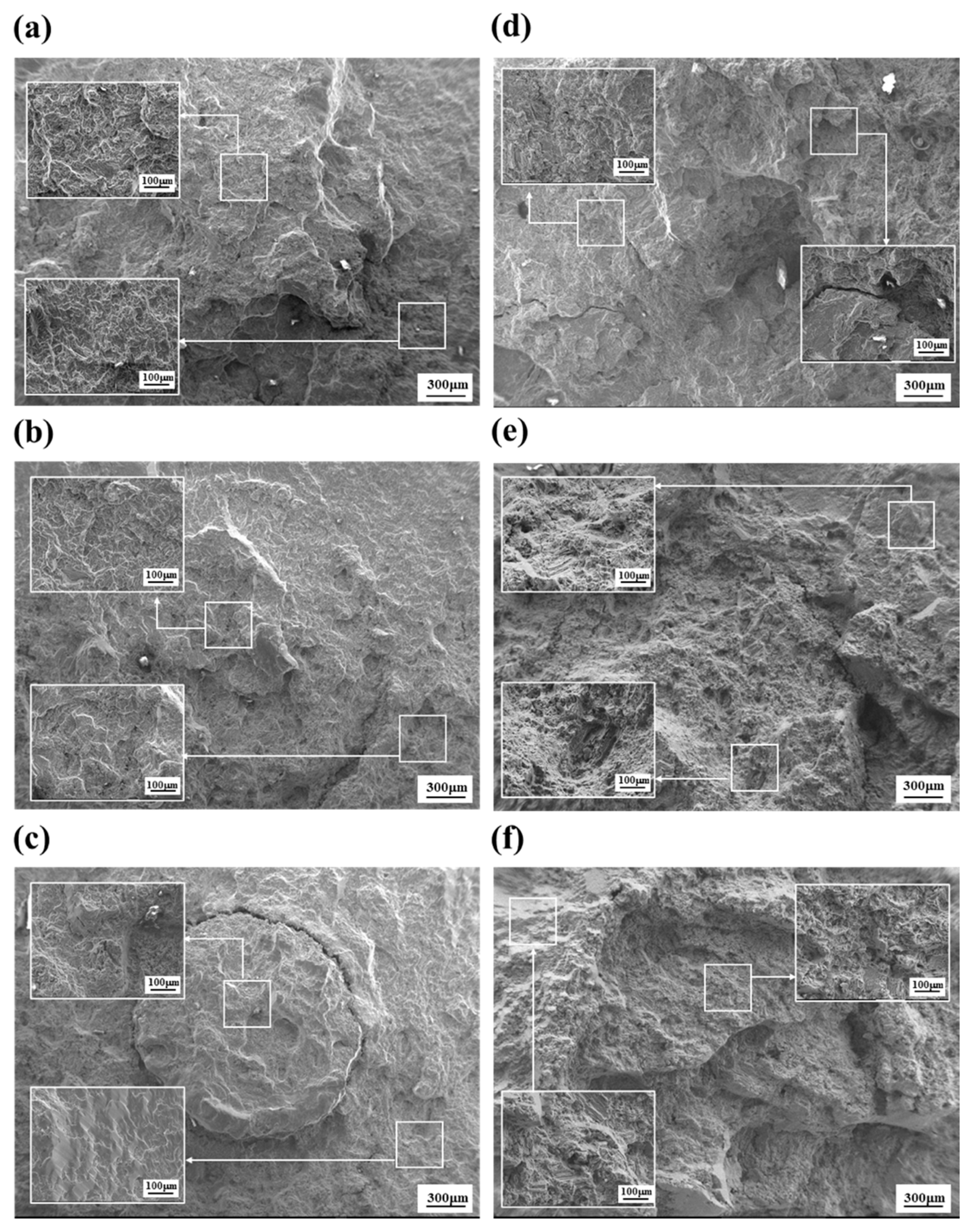 Materials 14 07795 g005