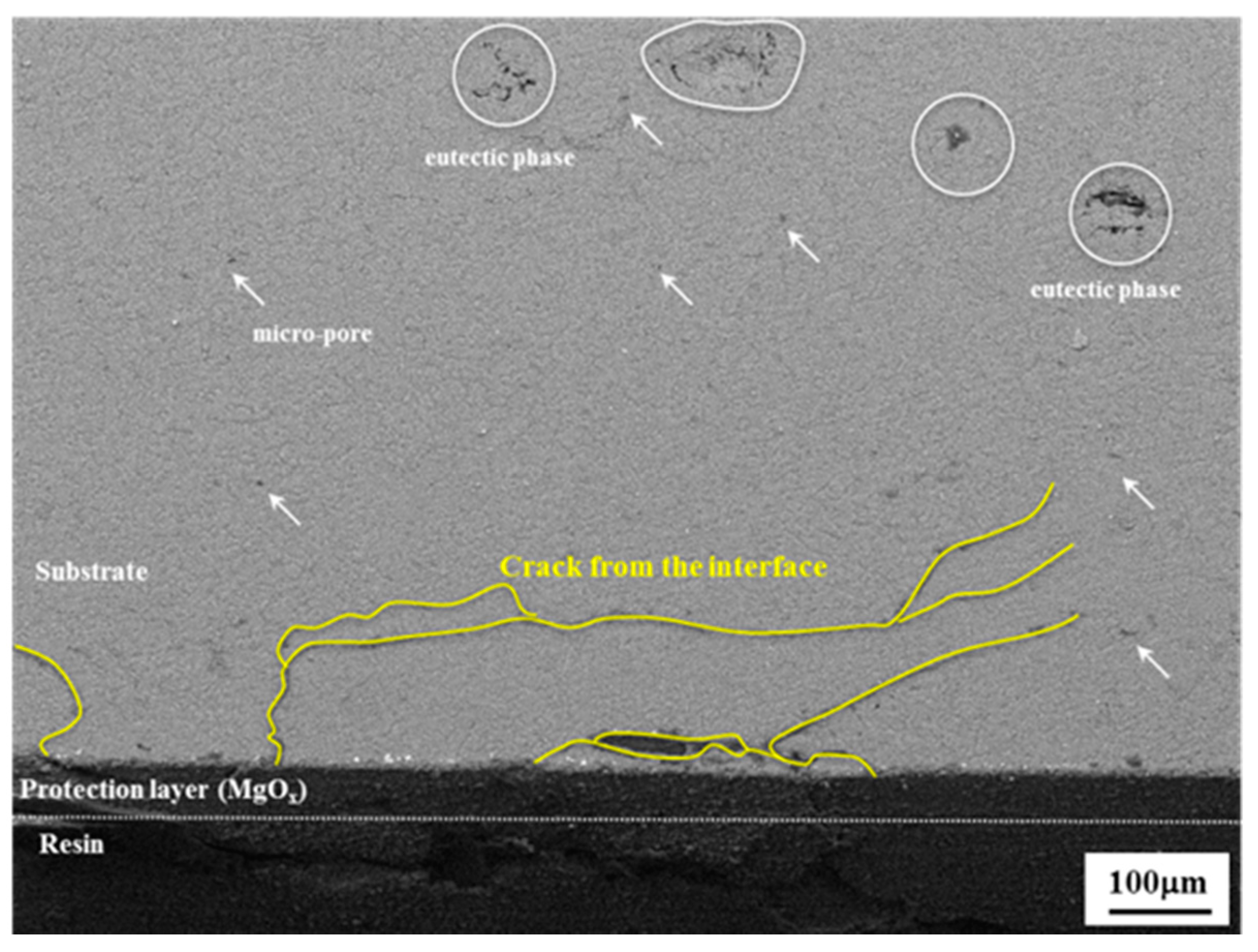 Materials 14 07795 g006