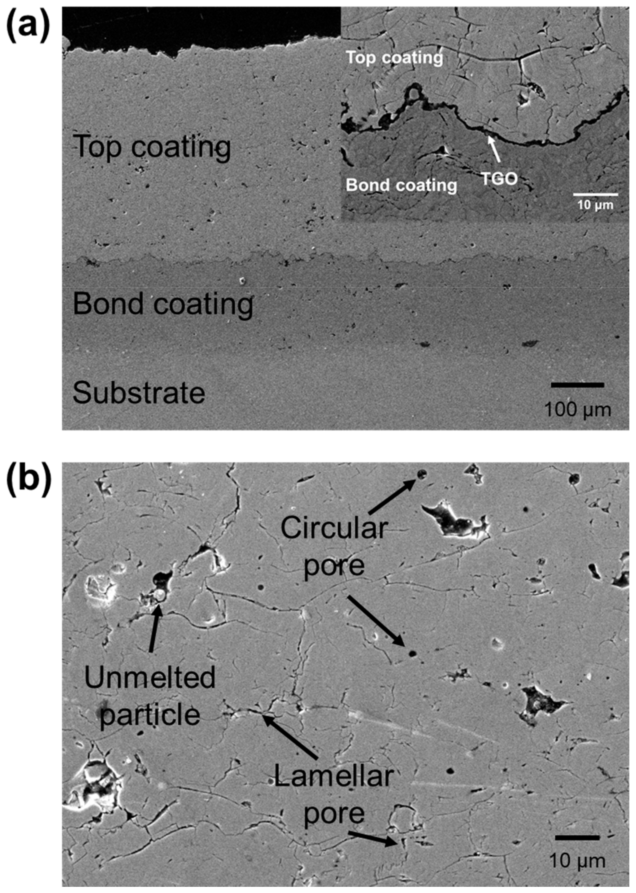 Materials 14 07801 g002