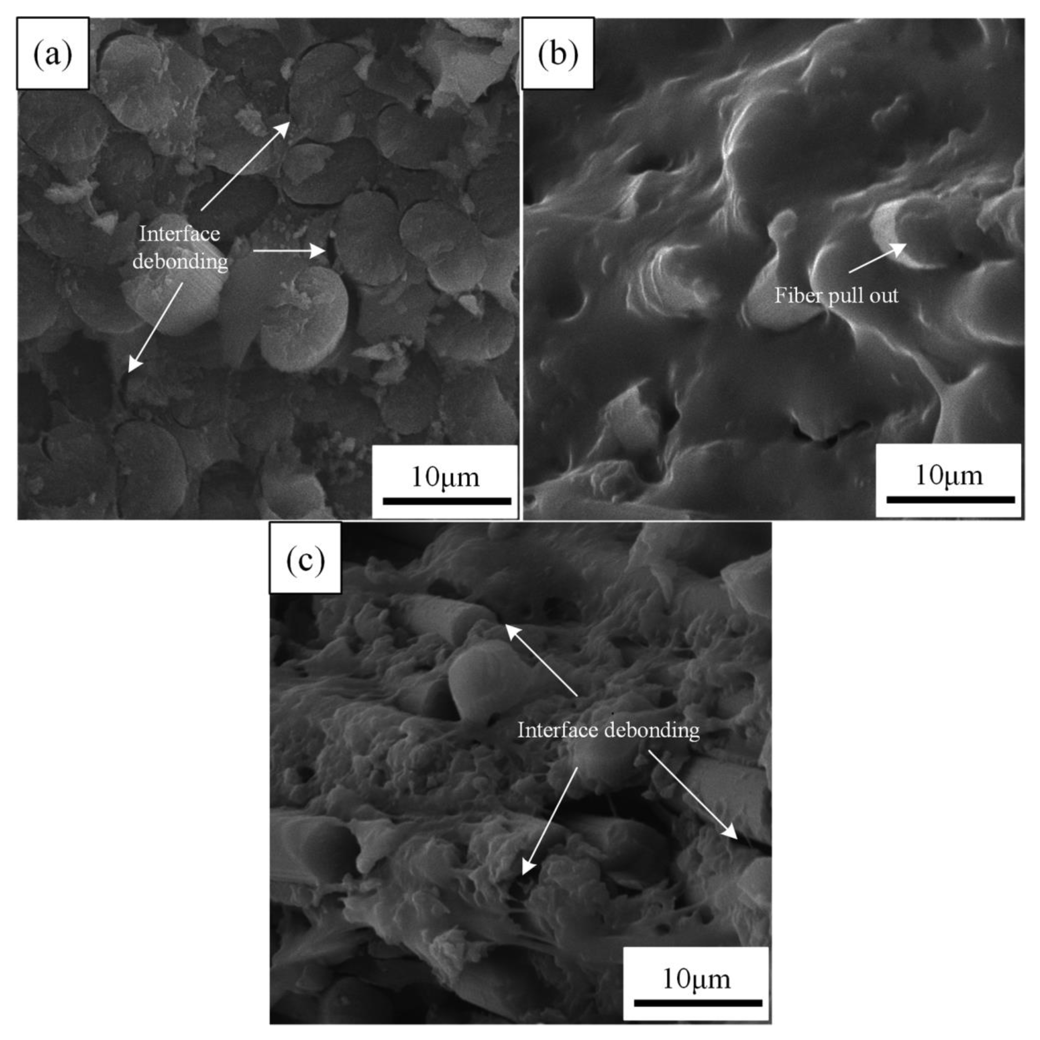 Materials 14 07810 g006