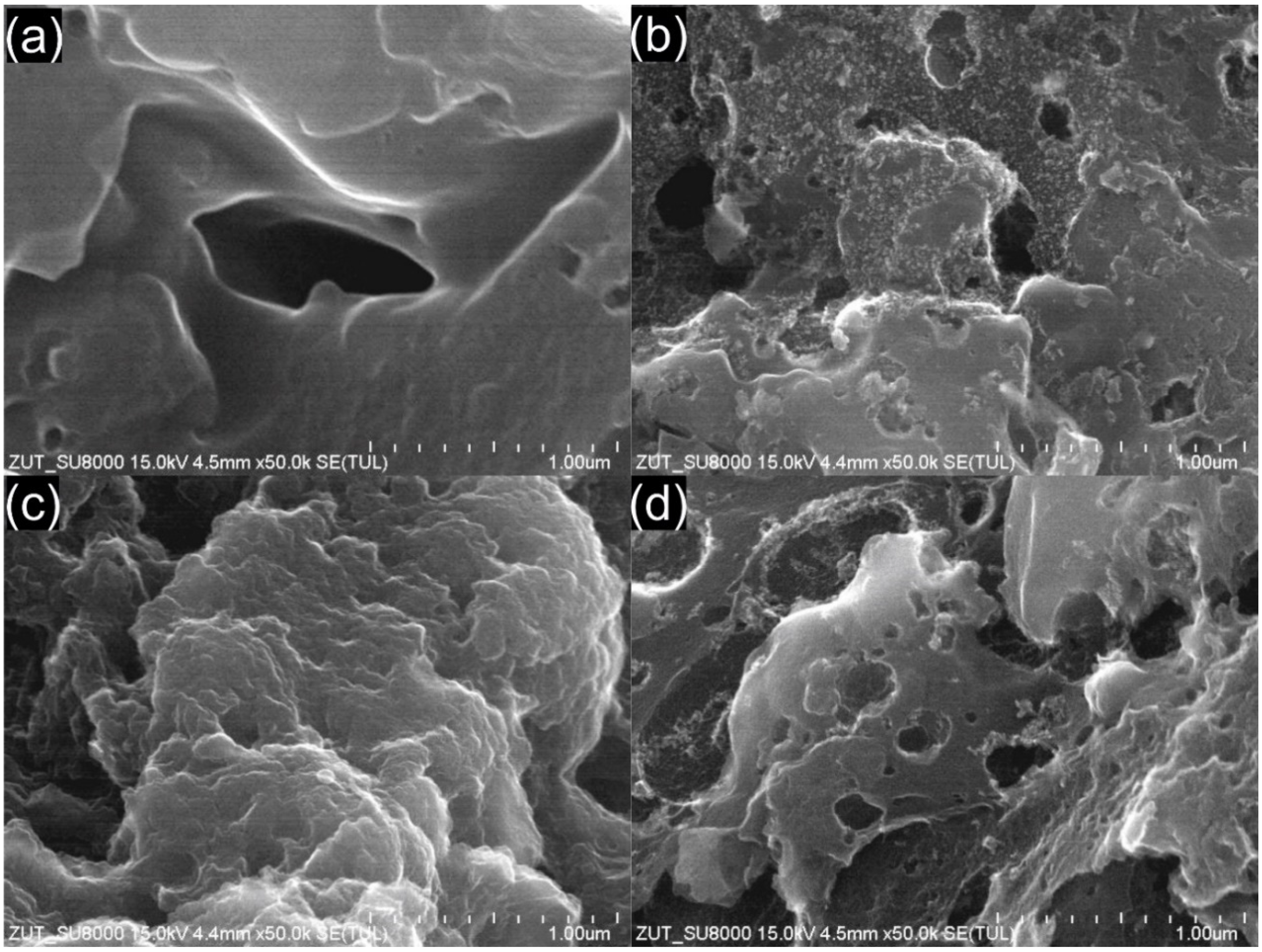 Materials 14 07811 g007 550