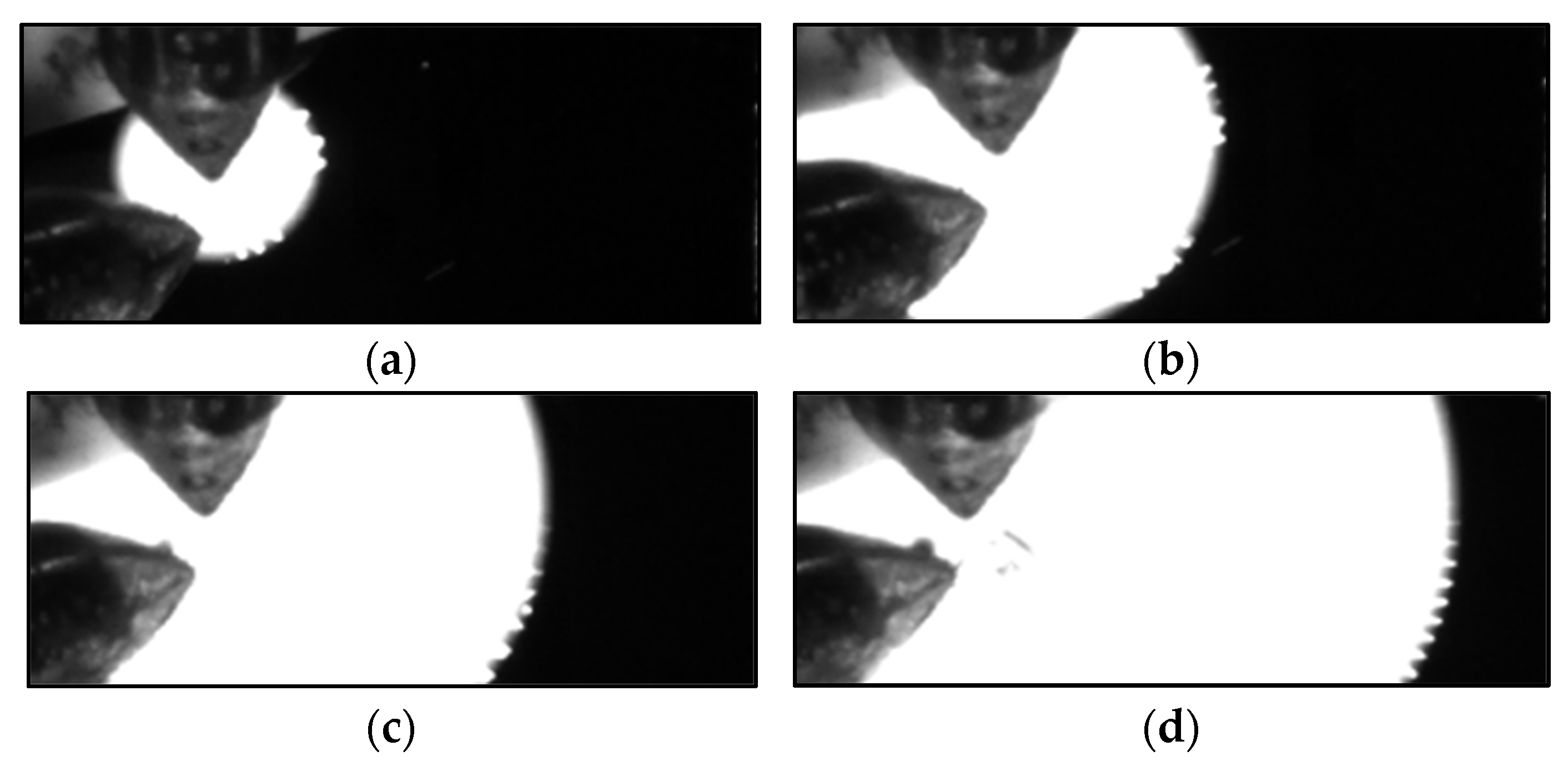 Materials 14 07815 g006