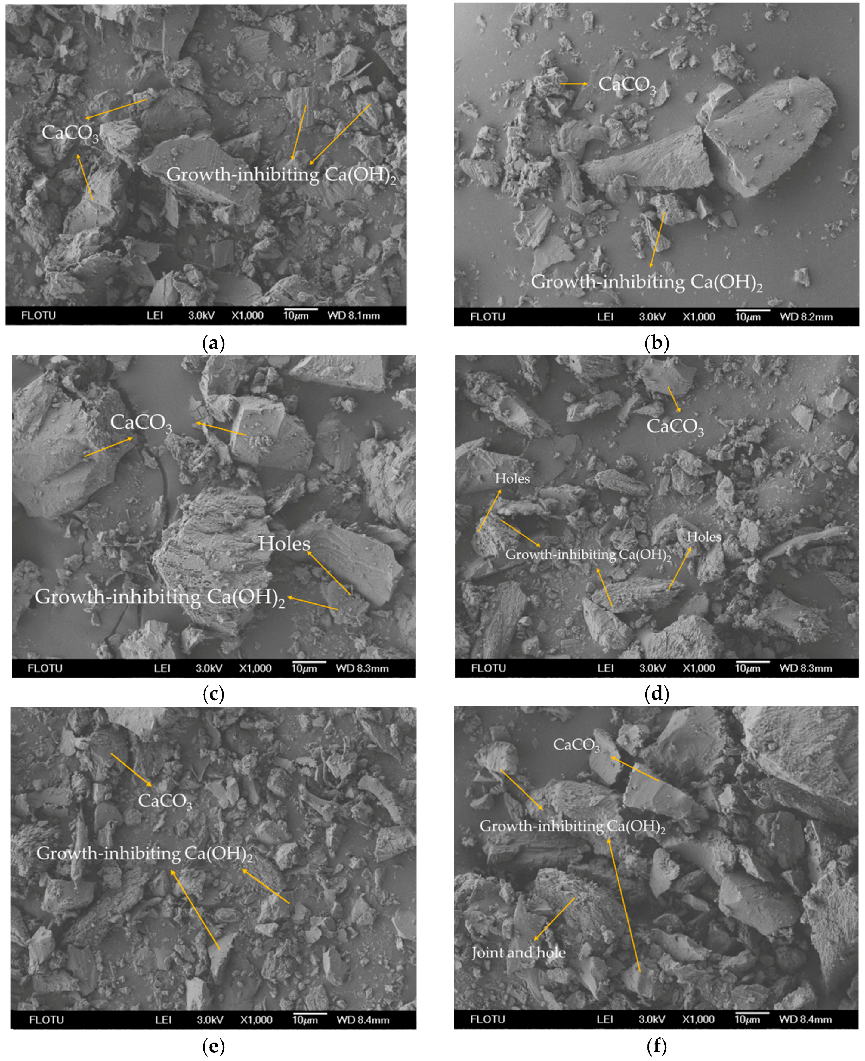 Materials 14 07819 g004 550