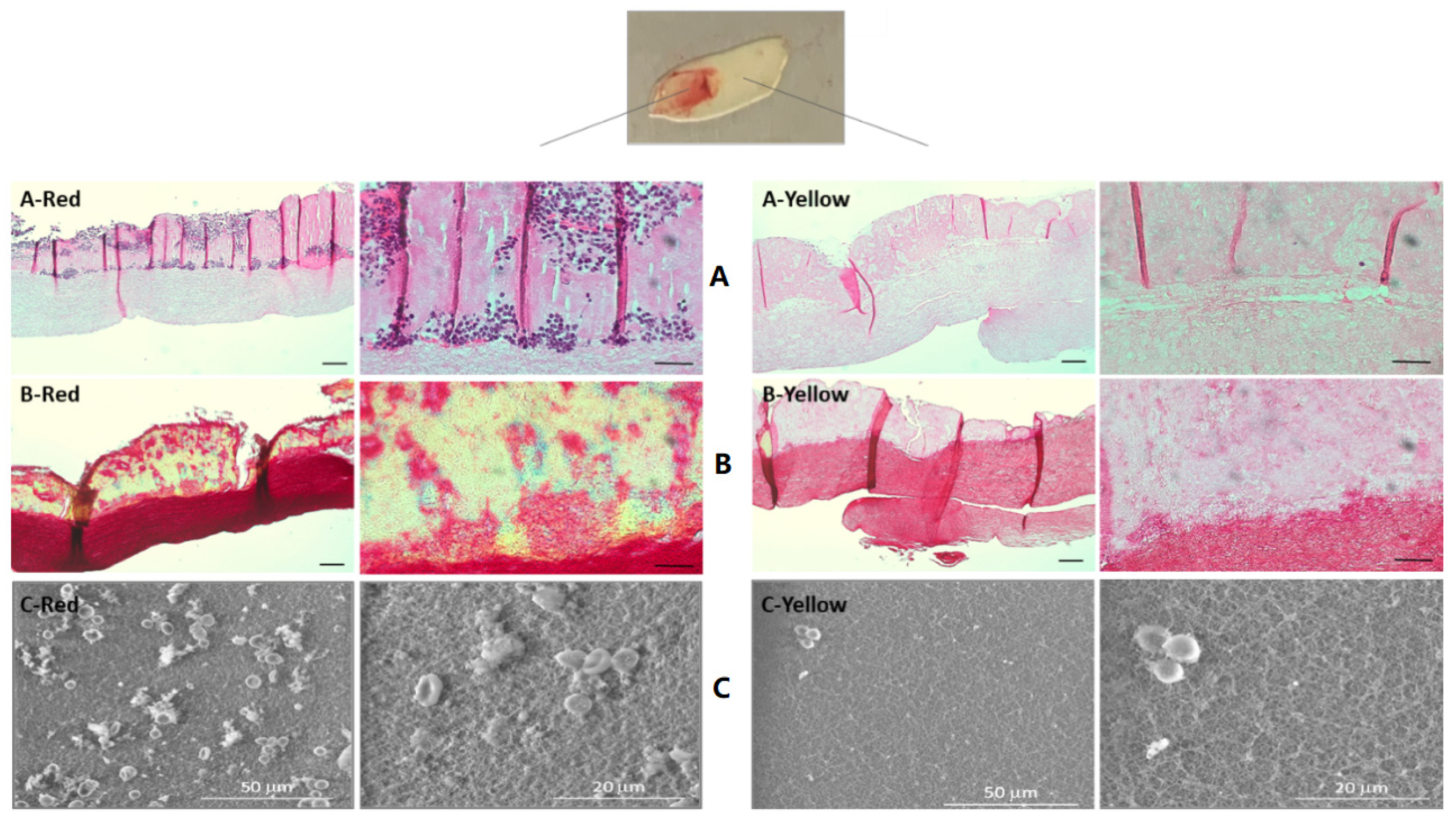 Materials 14 07830 g001