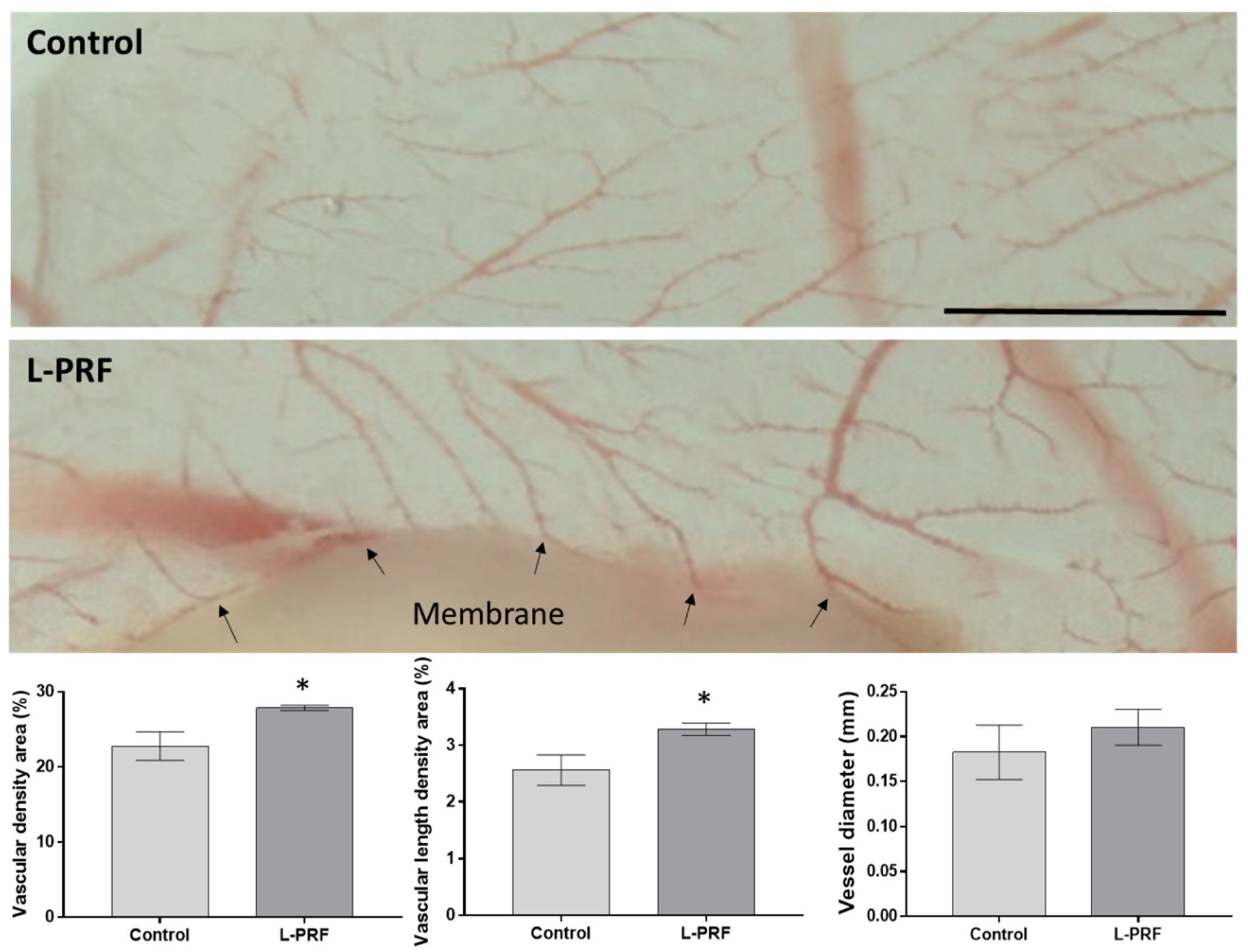 Materials 14 07830 g002