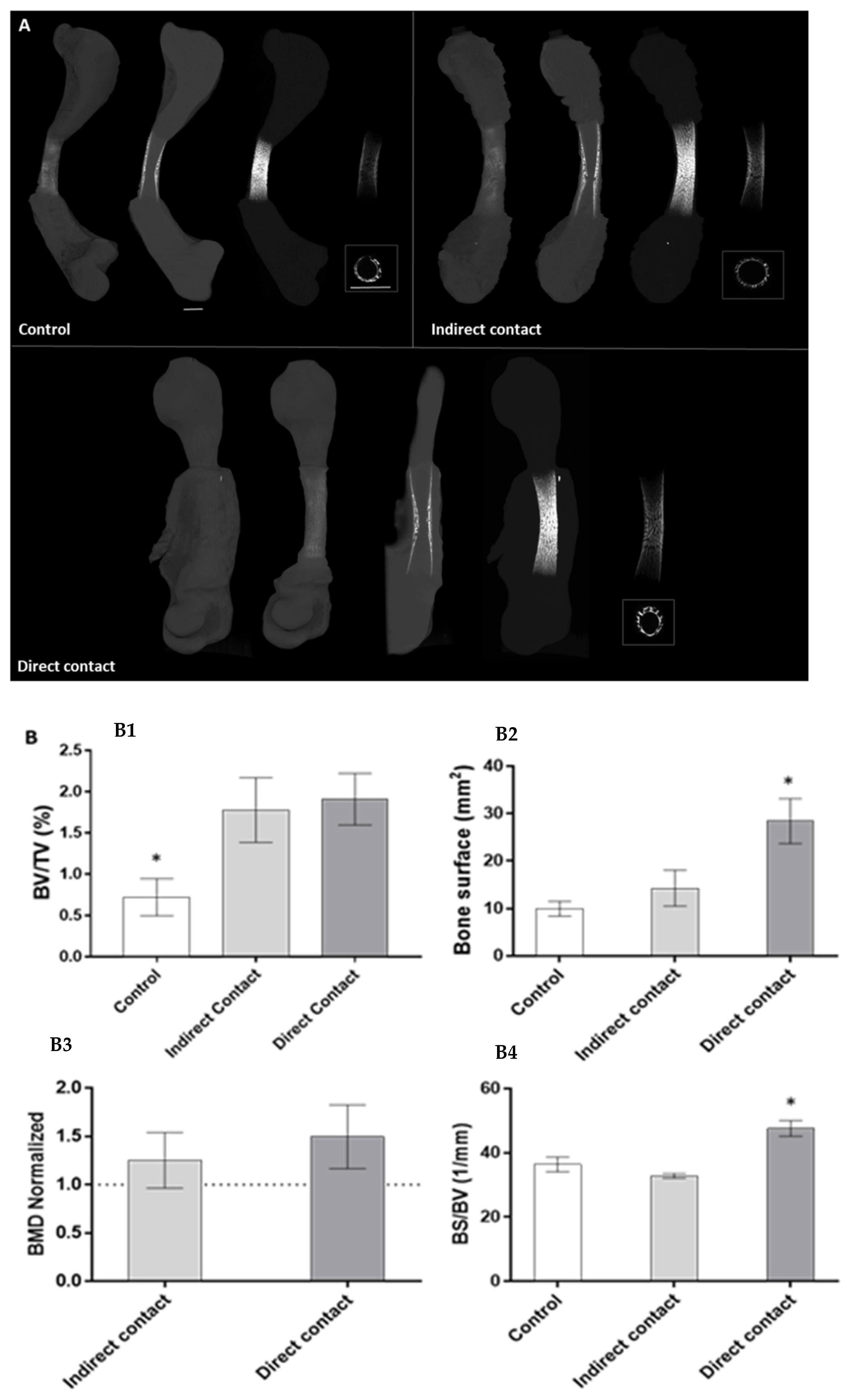 Materials 14 07830 g003