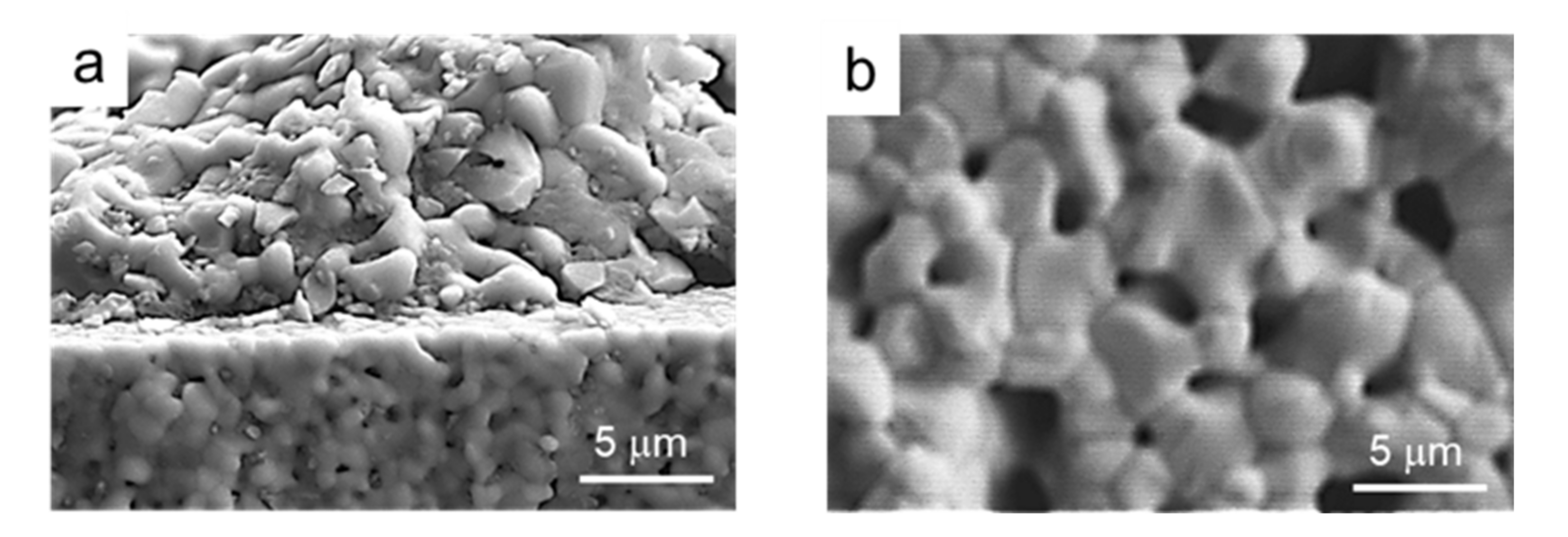 Materials 14 07831 g013 Materials 14 07831 g013