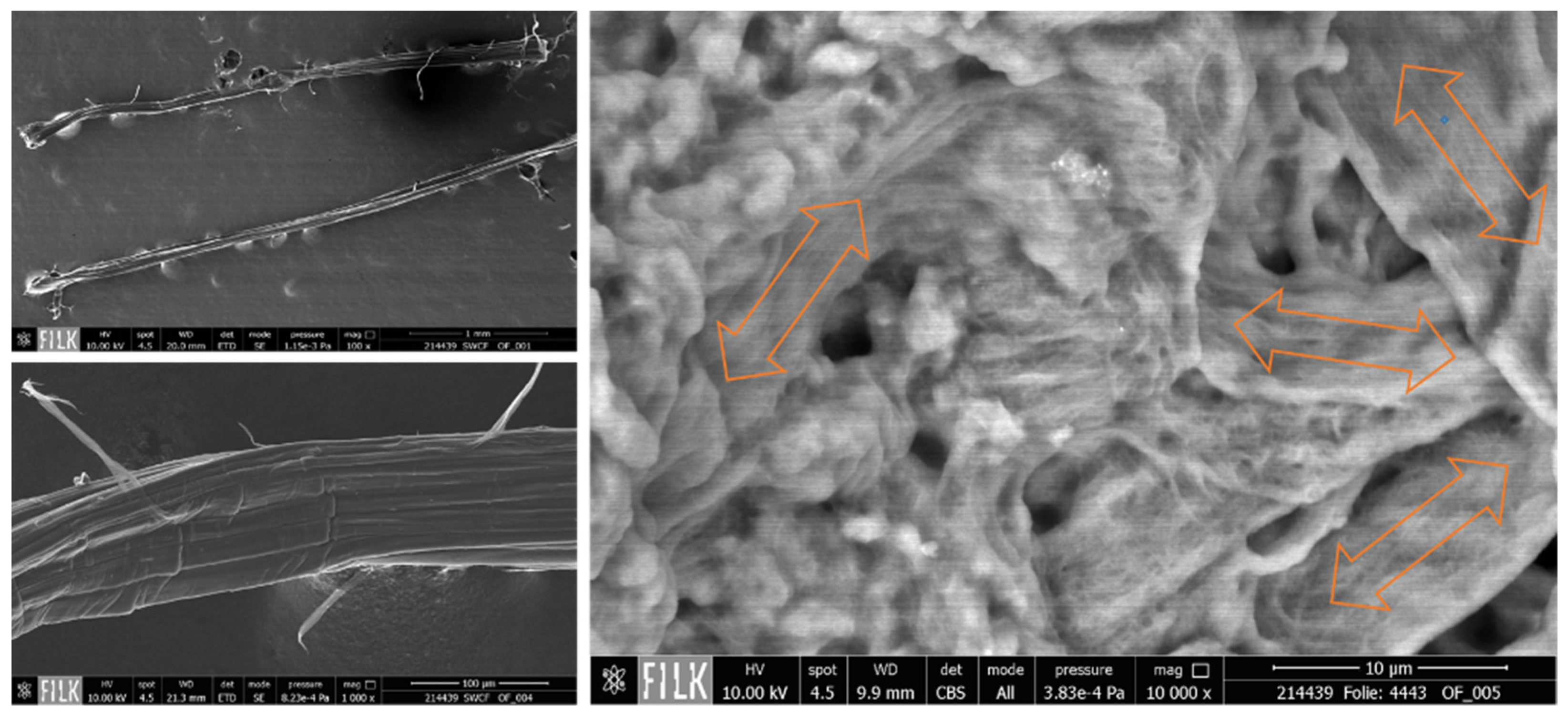 Materials 14 07841 g006