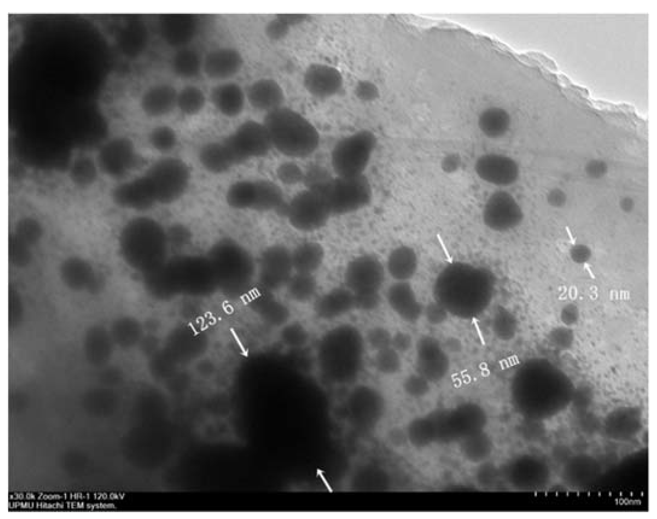 Materials 14 07867 g002 550