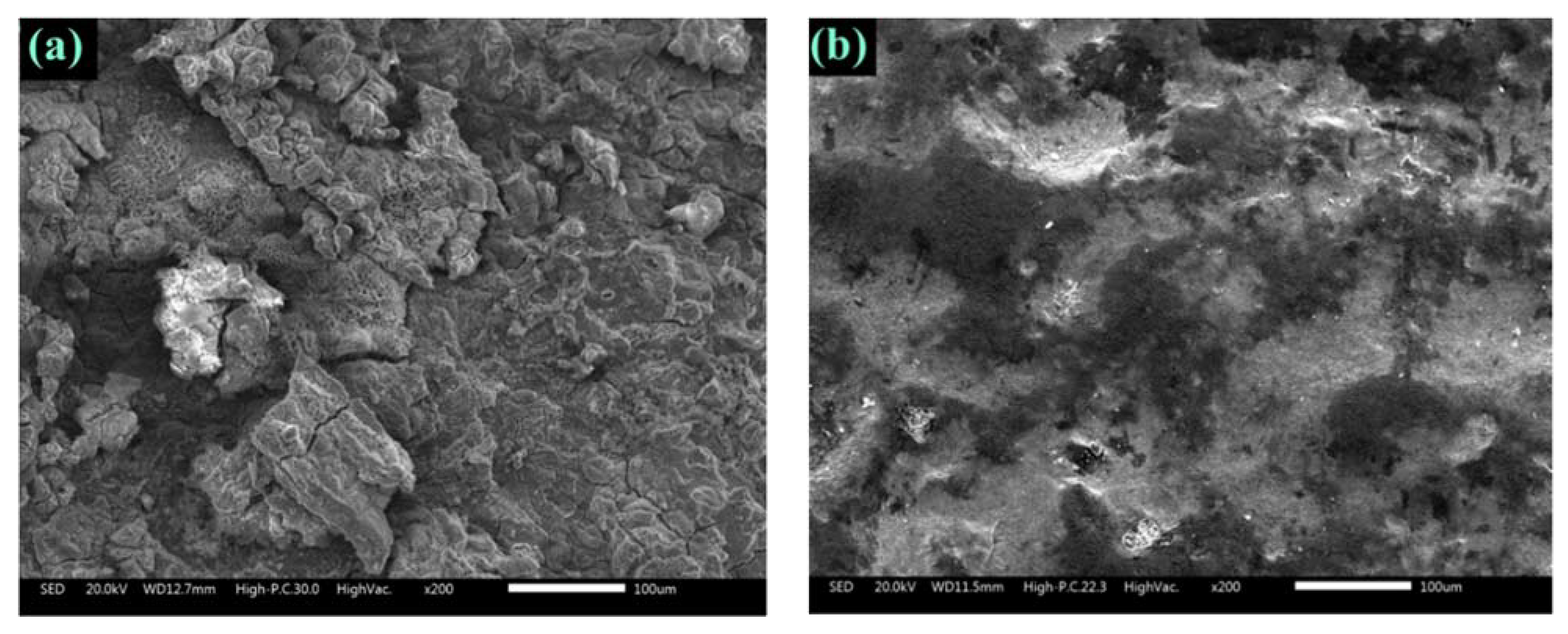 Materials 14 07867 g006 550