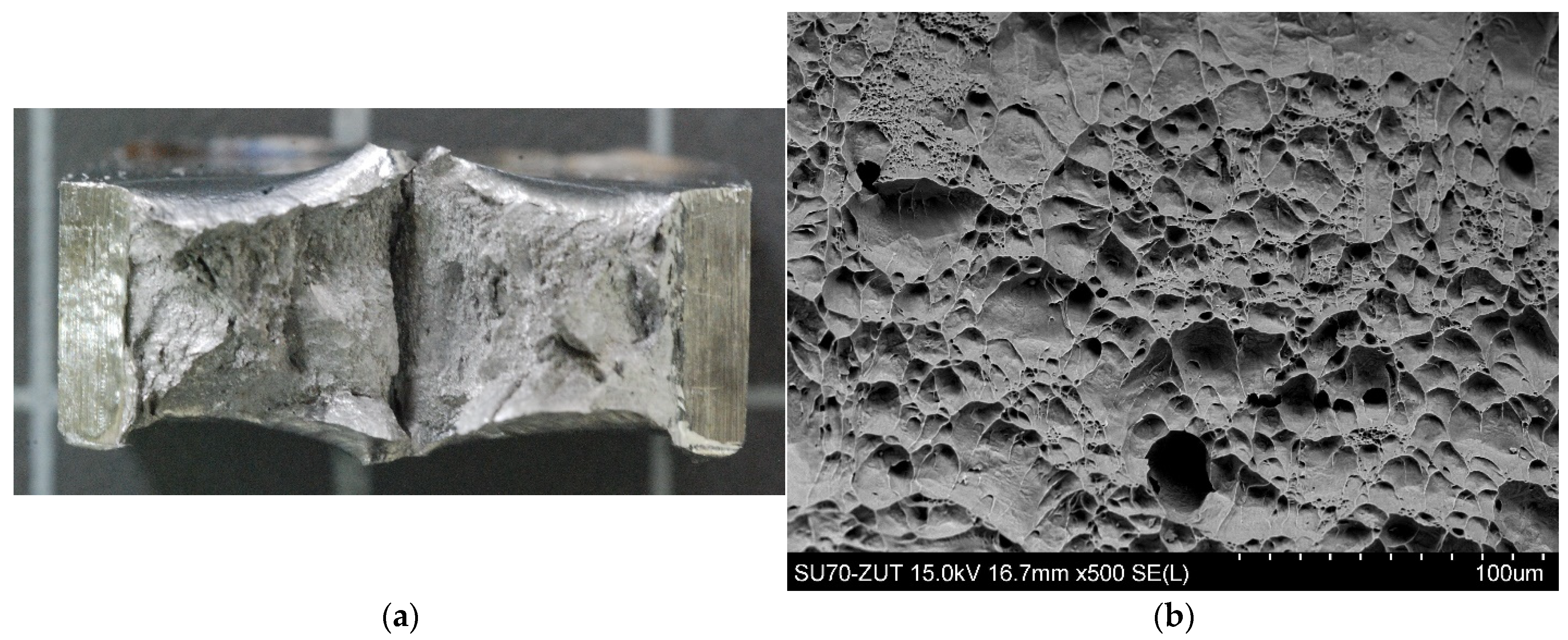 Materials 14 07868 g014a 550
