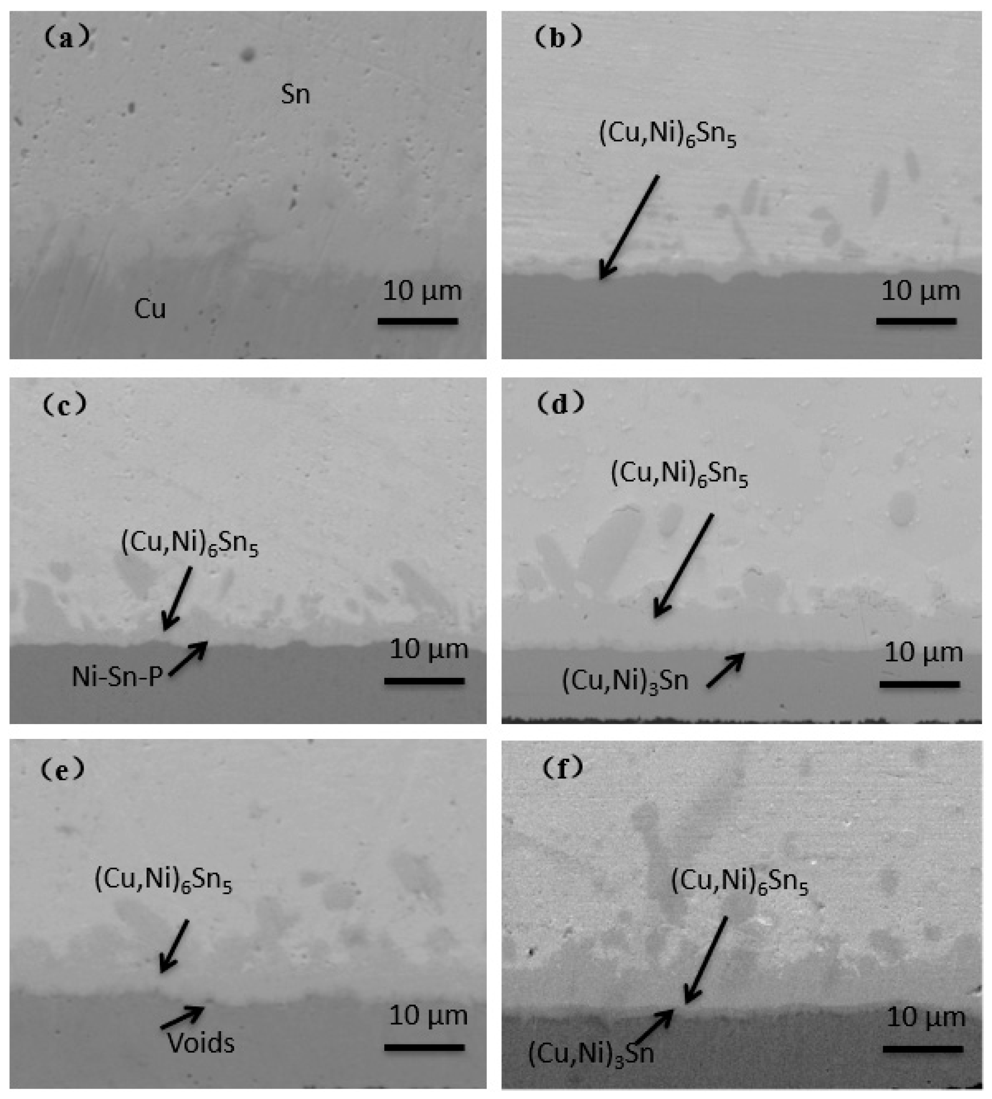 Materials 14 07874 g005 Materials 14 07874 g005