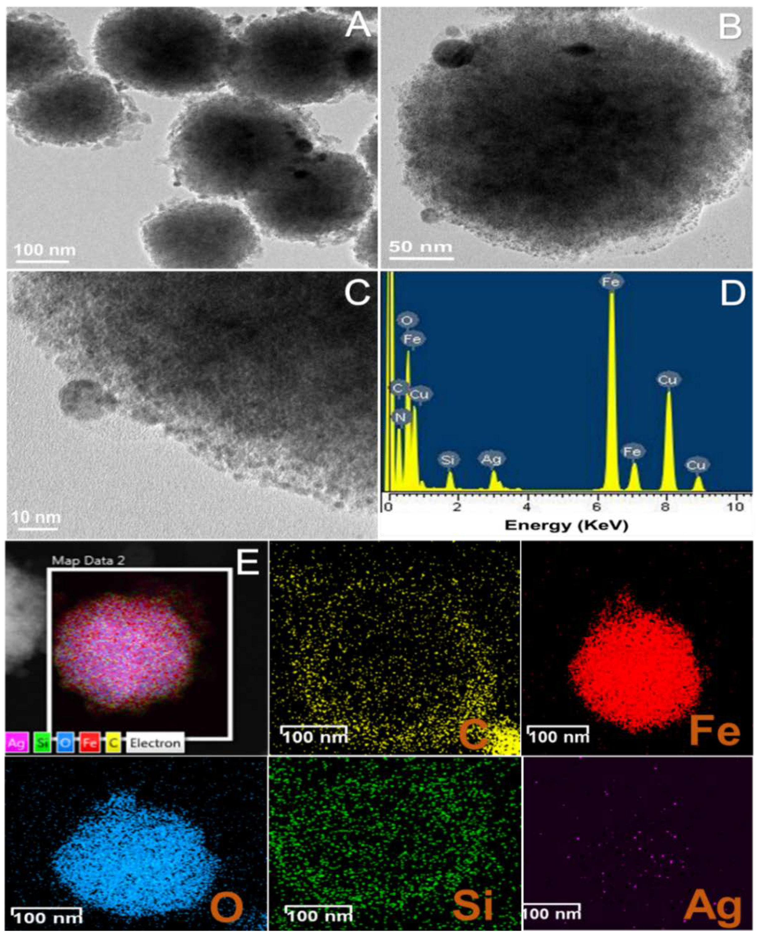 Materials 14 07893 g004 550