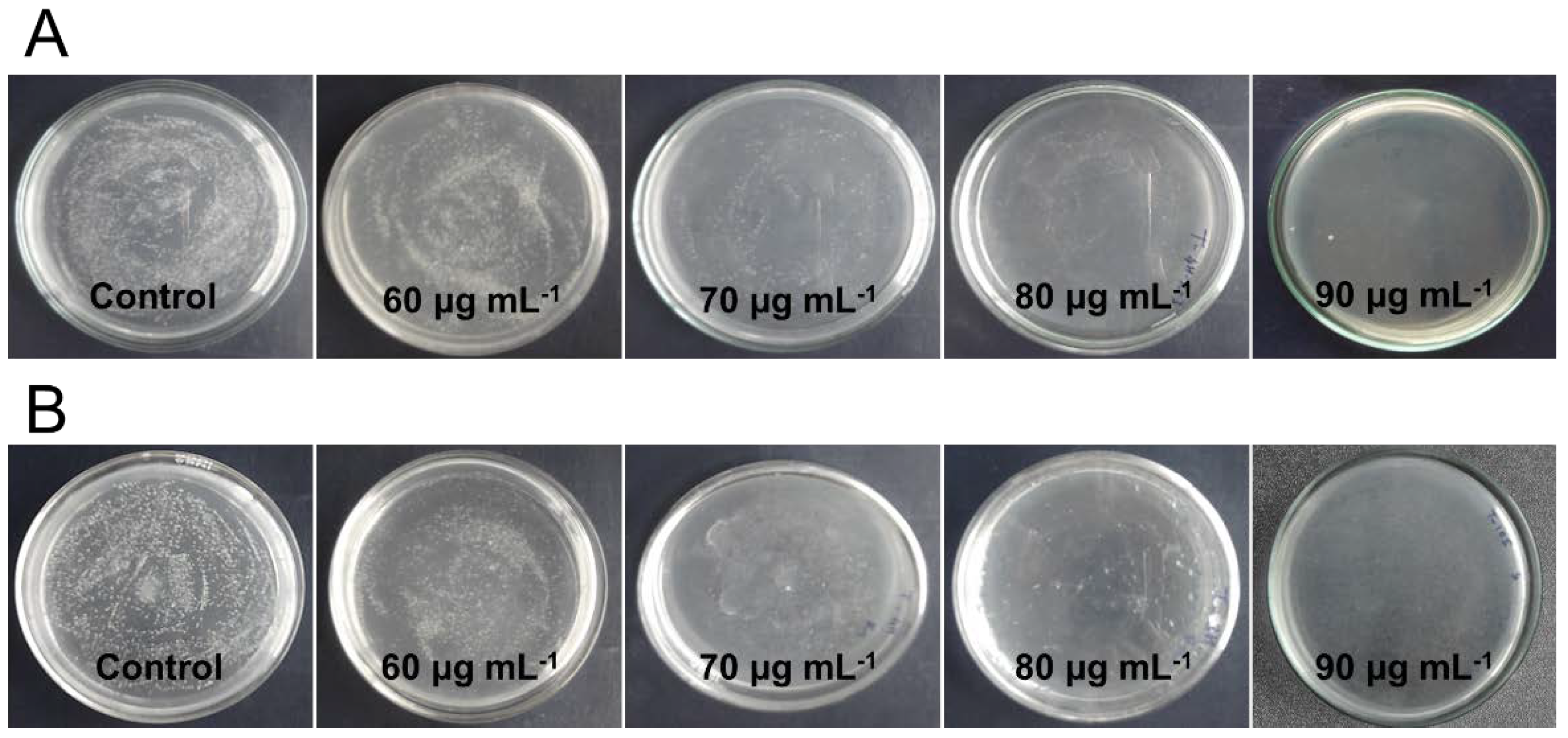 Materials 14 07893 g006 550