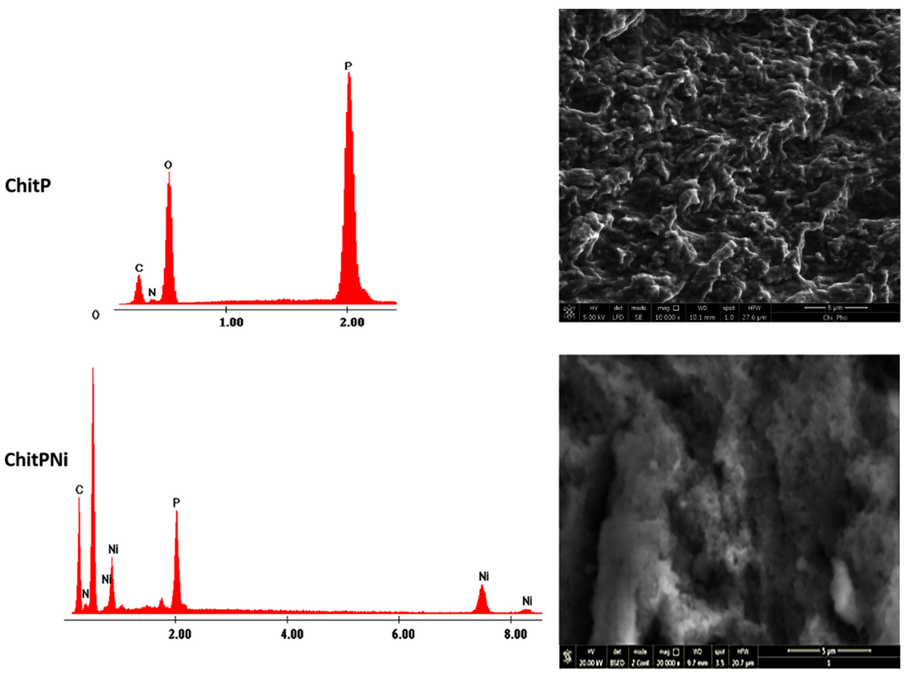 Materials 14 07894 g002