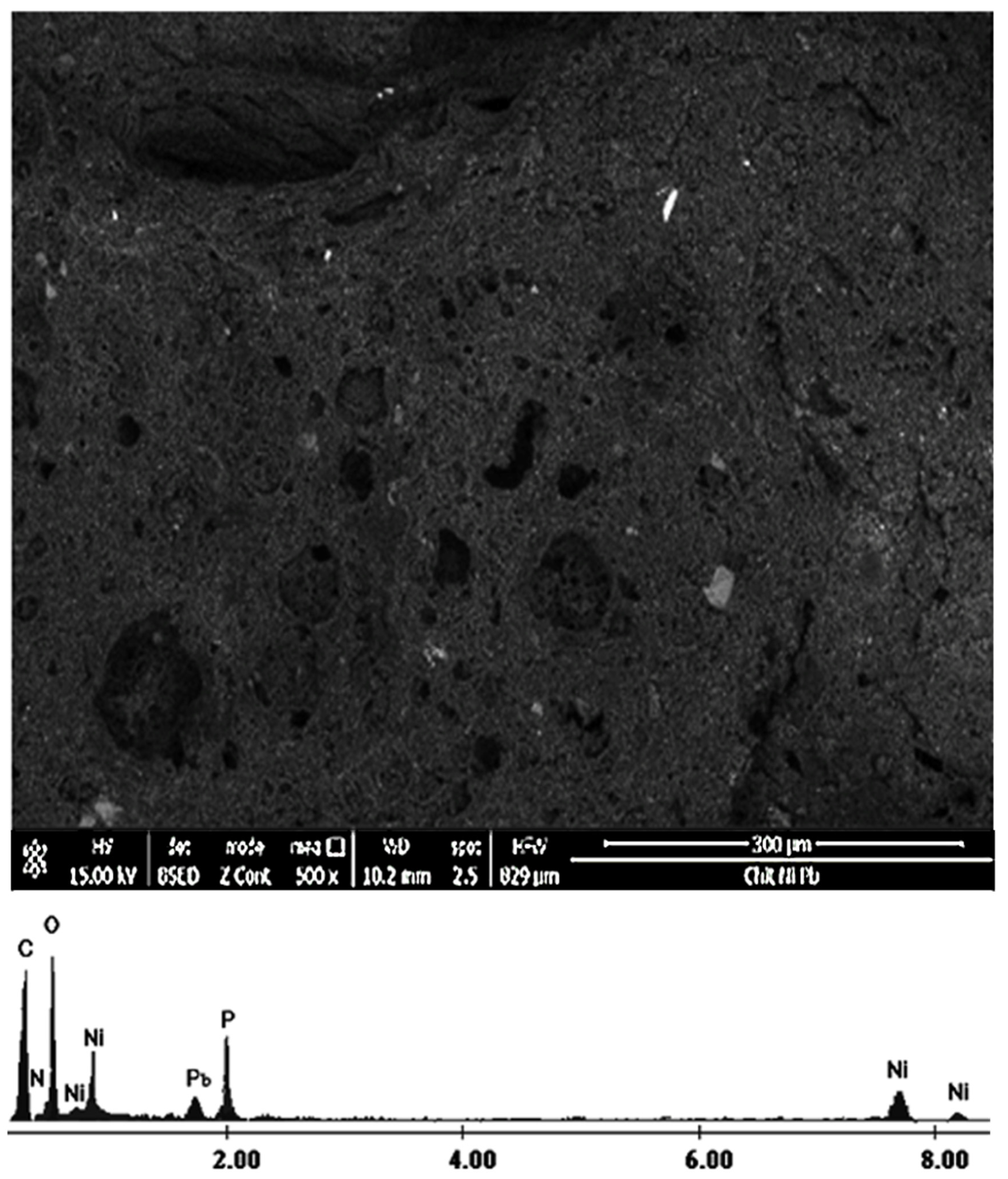 Materials 14 07894 g008