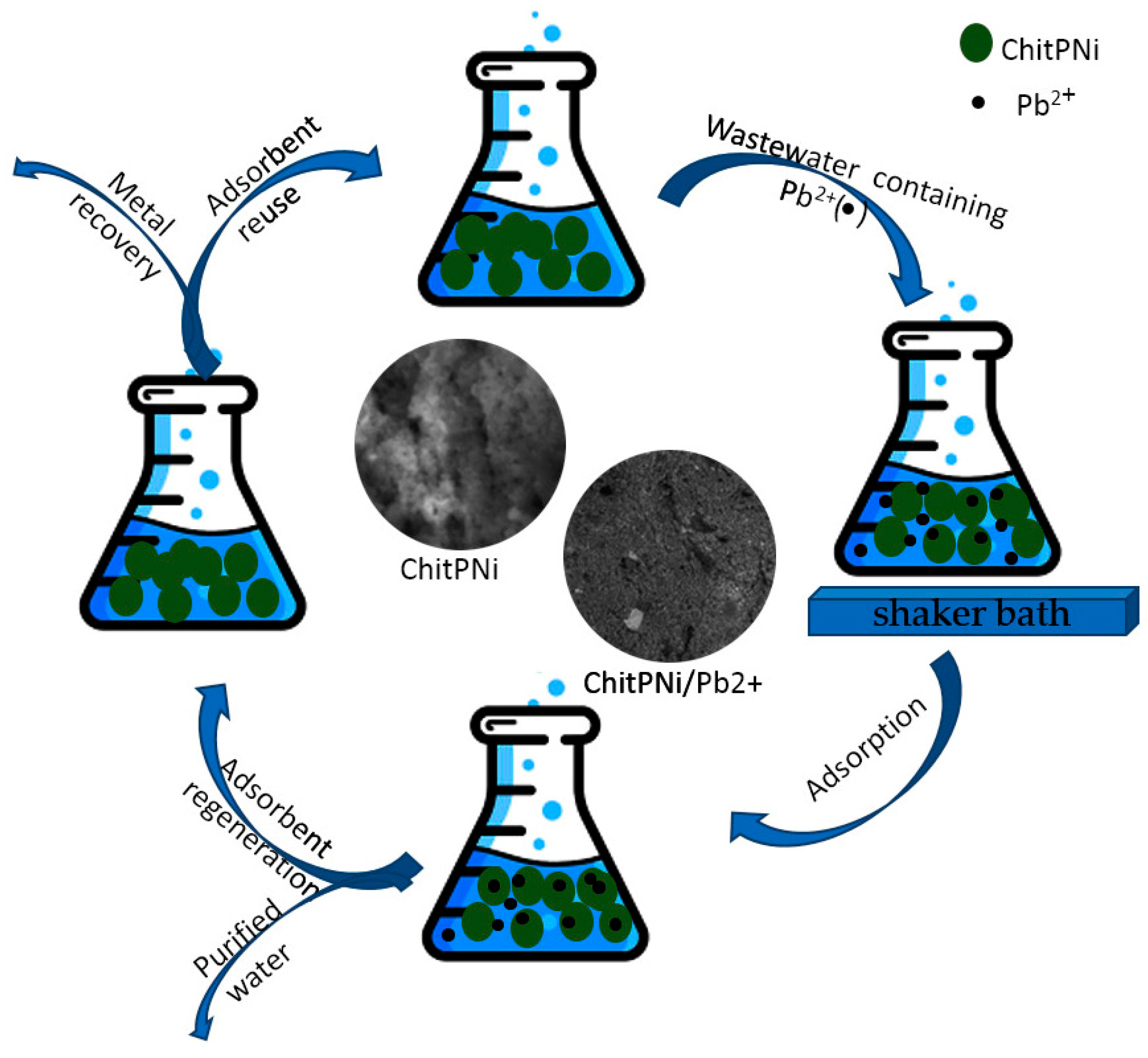 Materials 14 07894 sch002