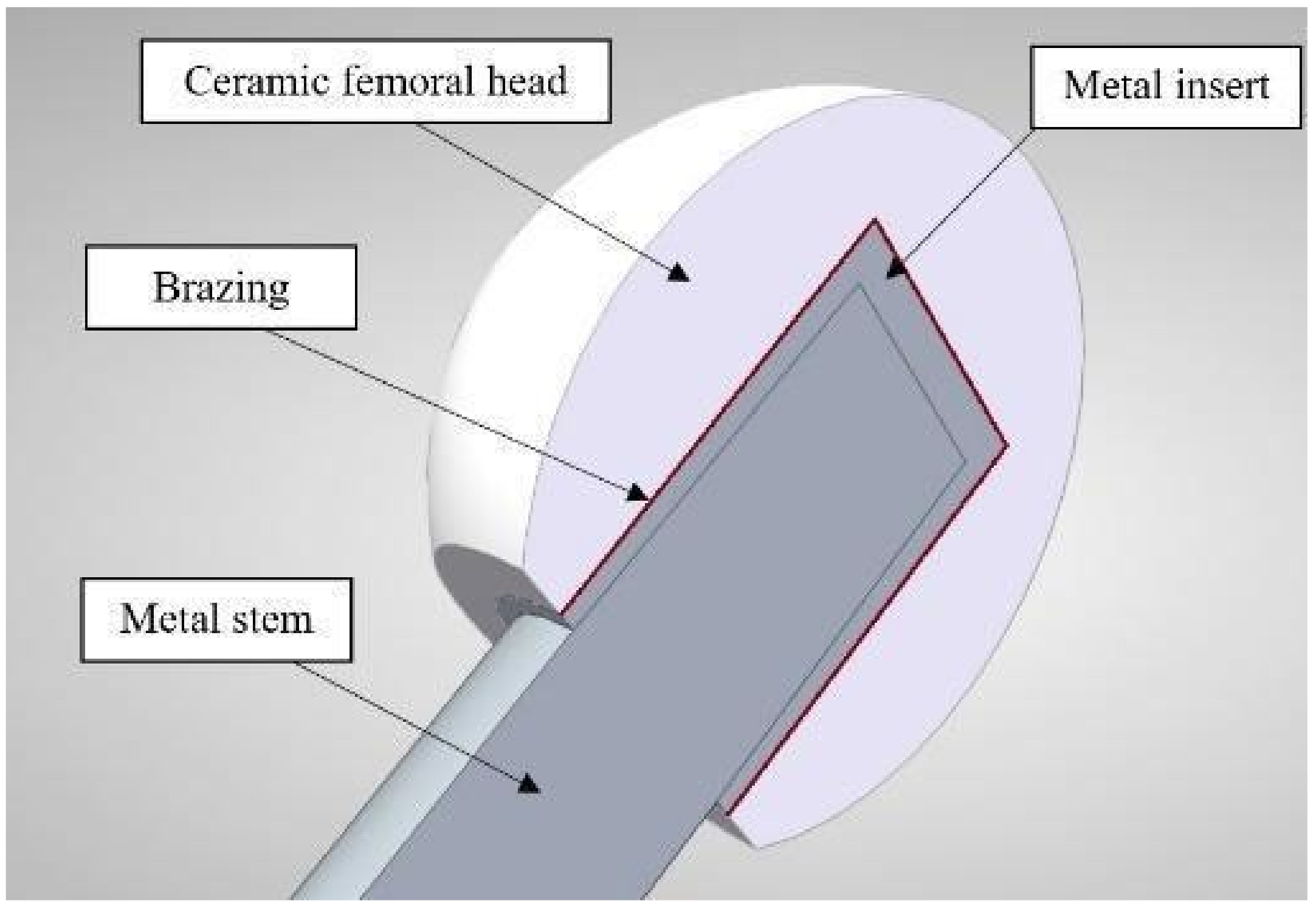 Materials 14 07895 g001