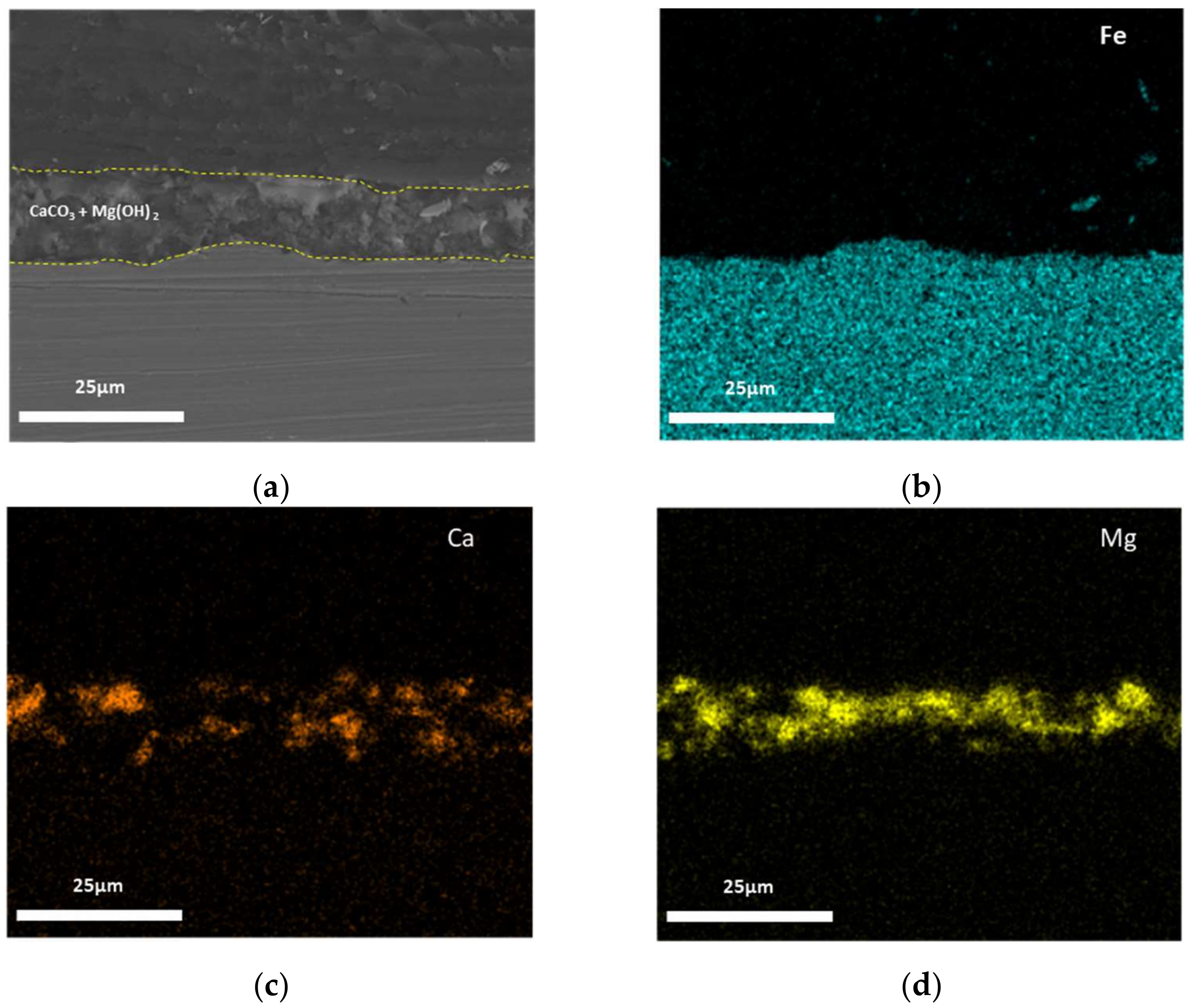 Materials 14 07905 g005