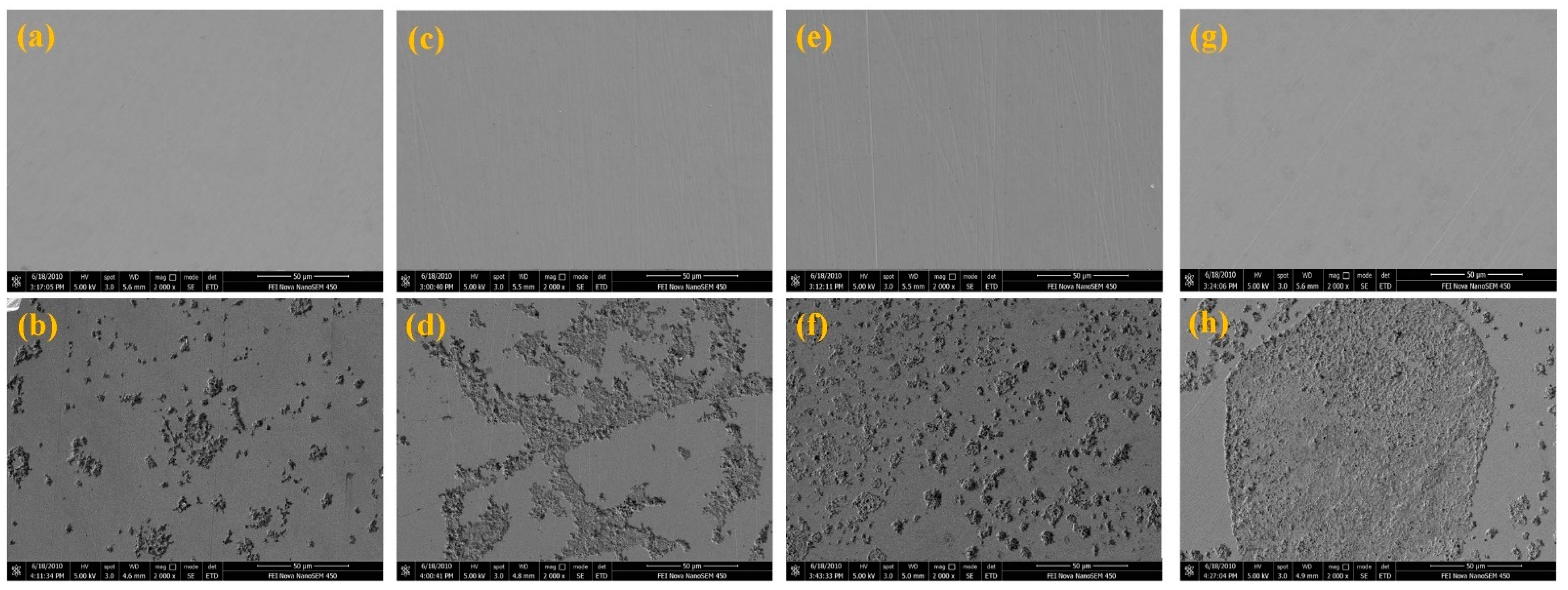 Materials 14 07911 g006 550