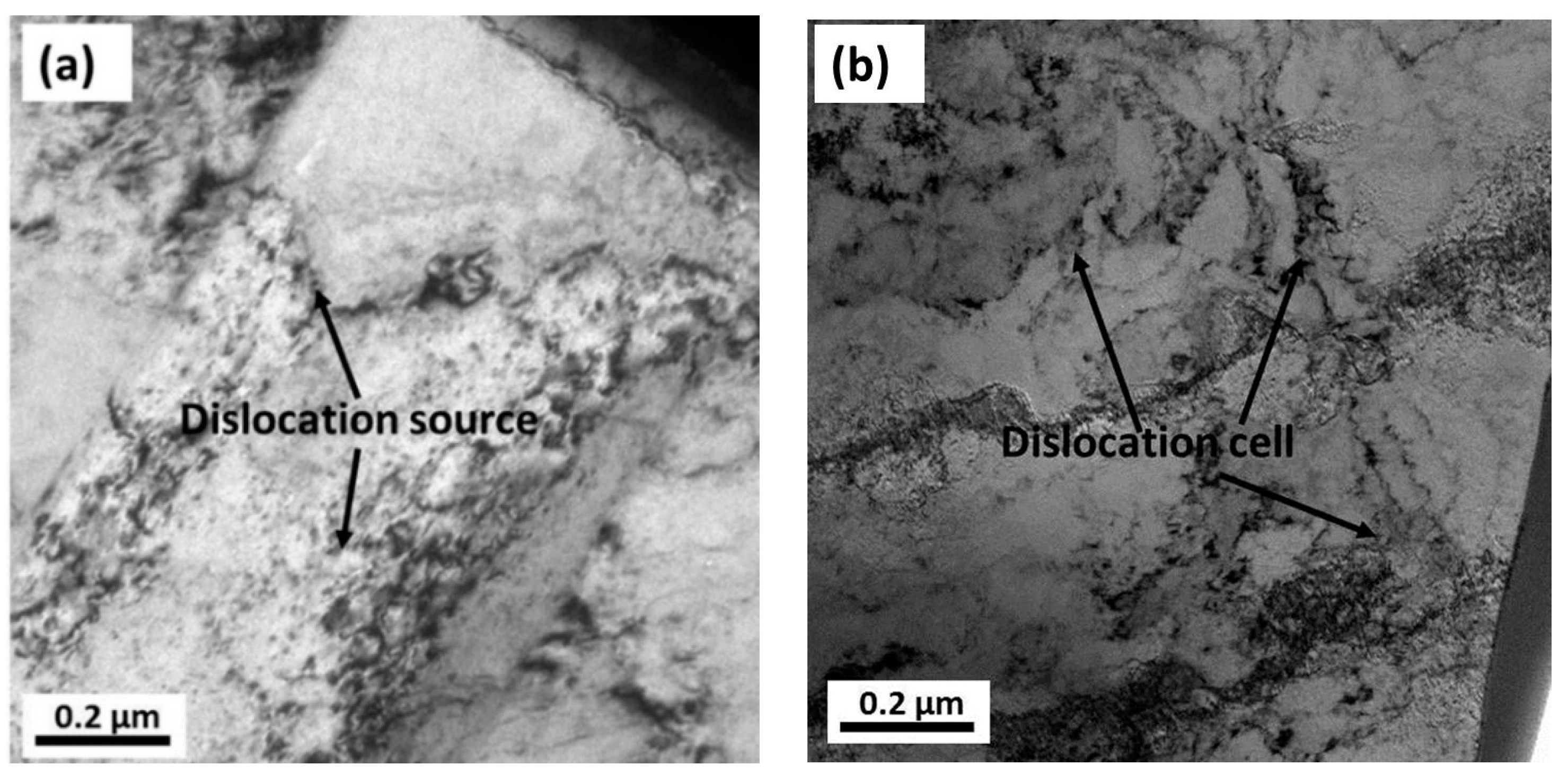 Materials 14 07911 g012a 550