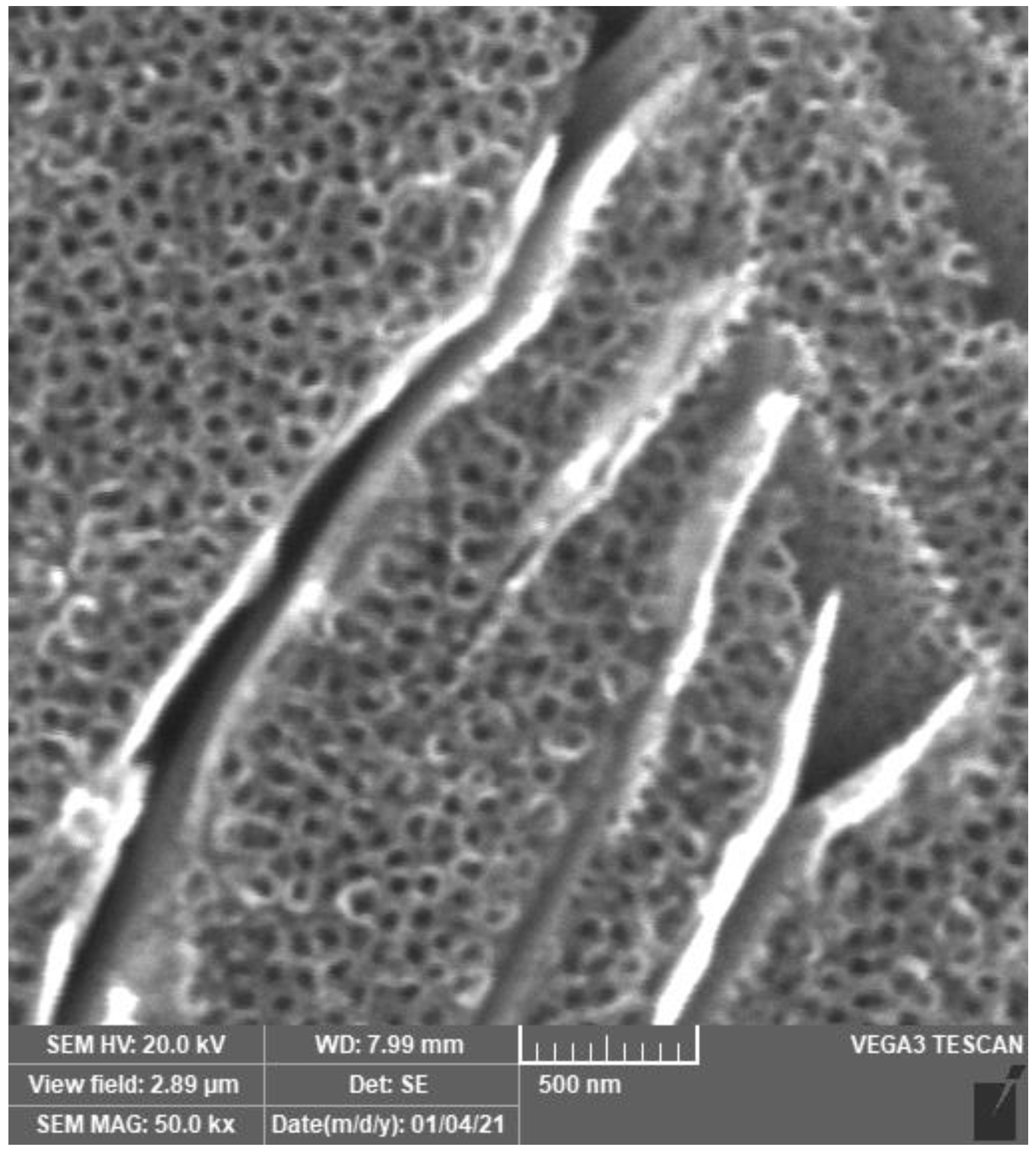 Materials 14 07912 g001 550